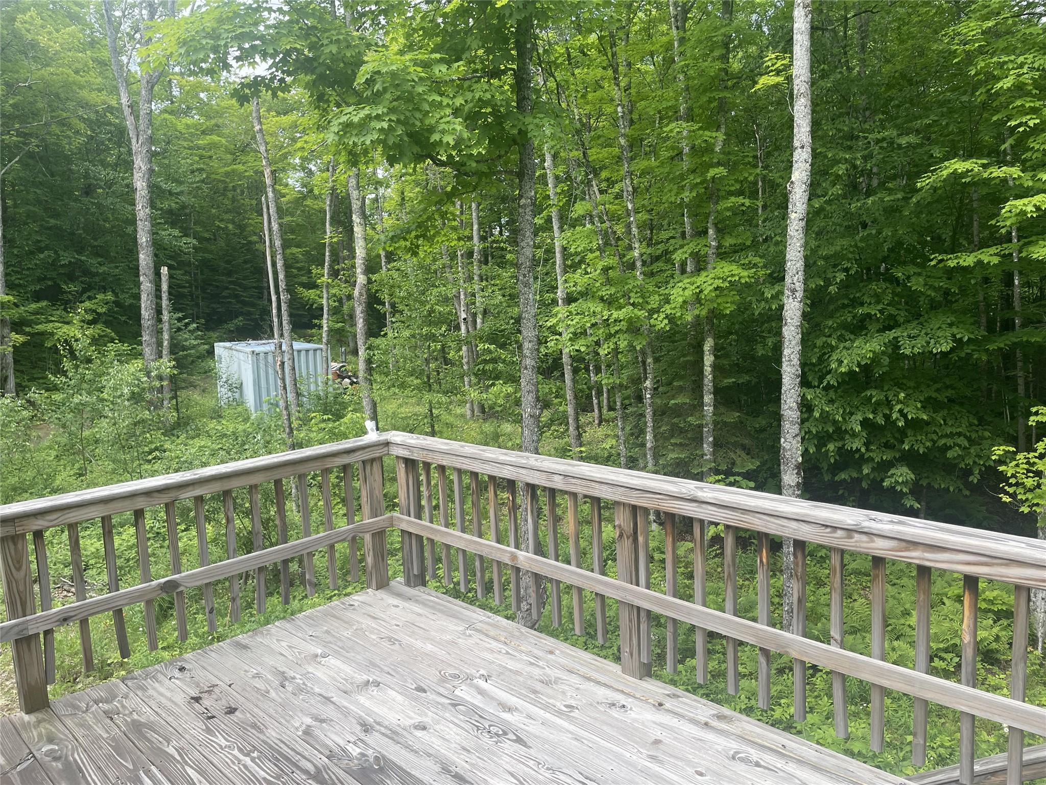 71224 Thole Road Property Photo 28