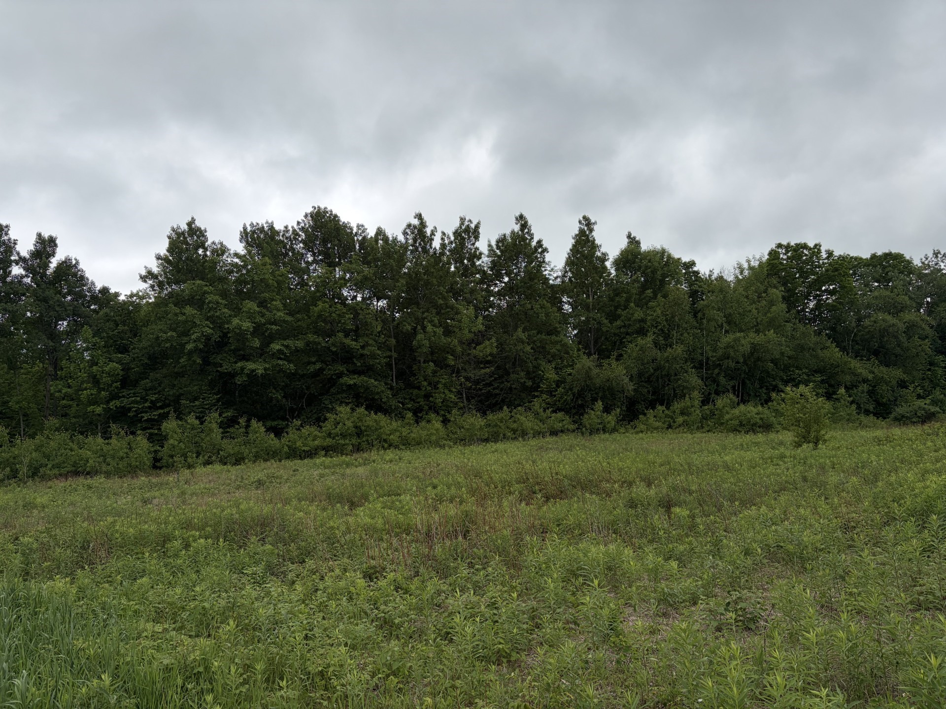 12629 W Fairman Lane Property Photo 23