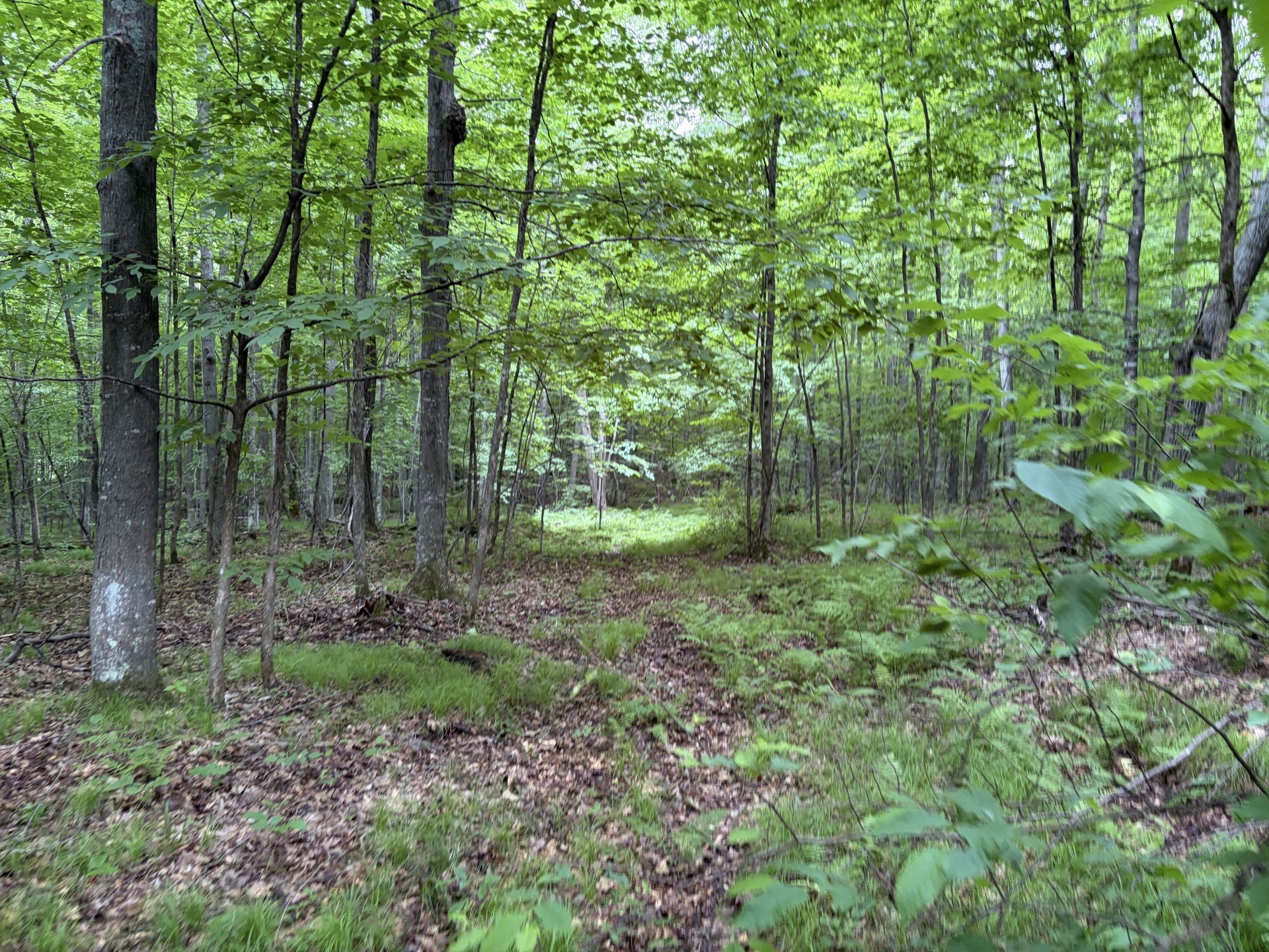 12629 W Fairman Lane Property Photo 33