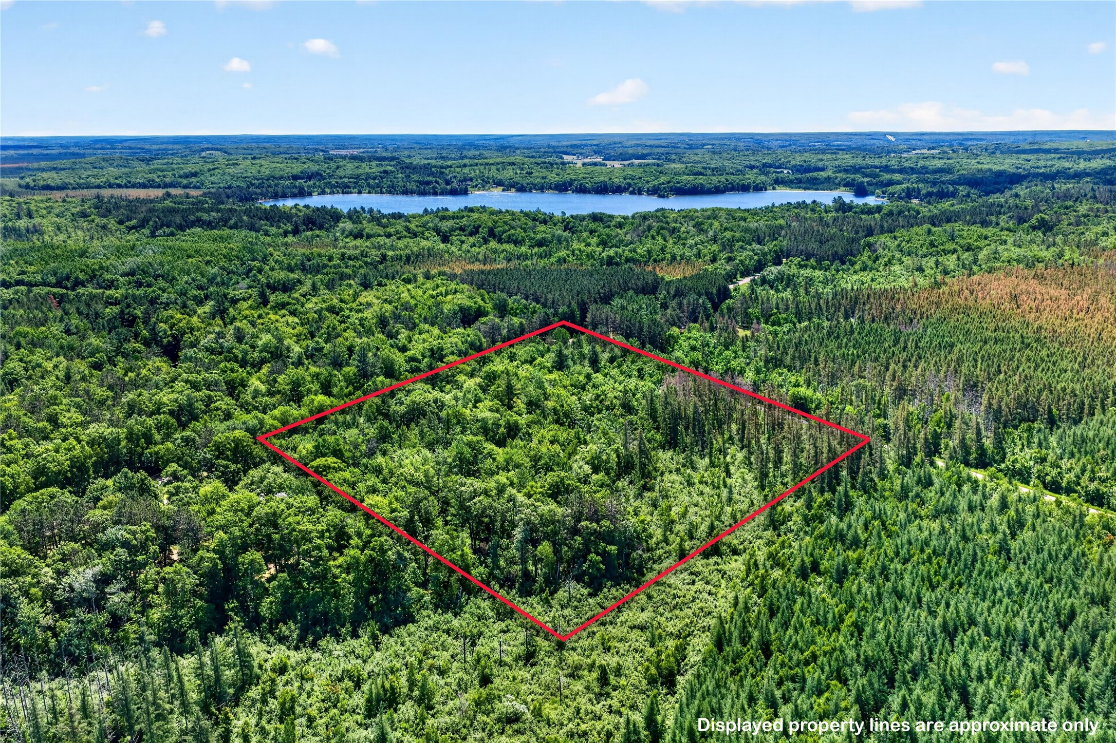 8.92 Acres Little Valley Road Property Photo 1