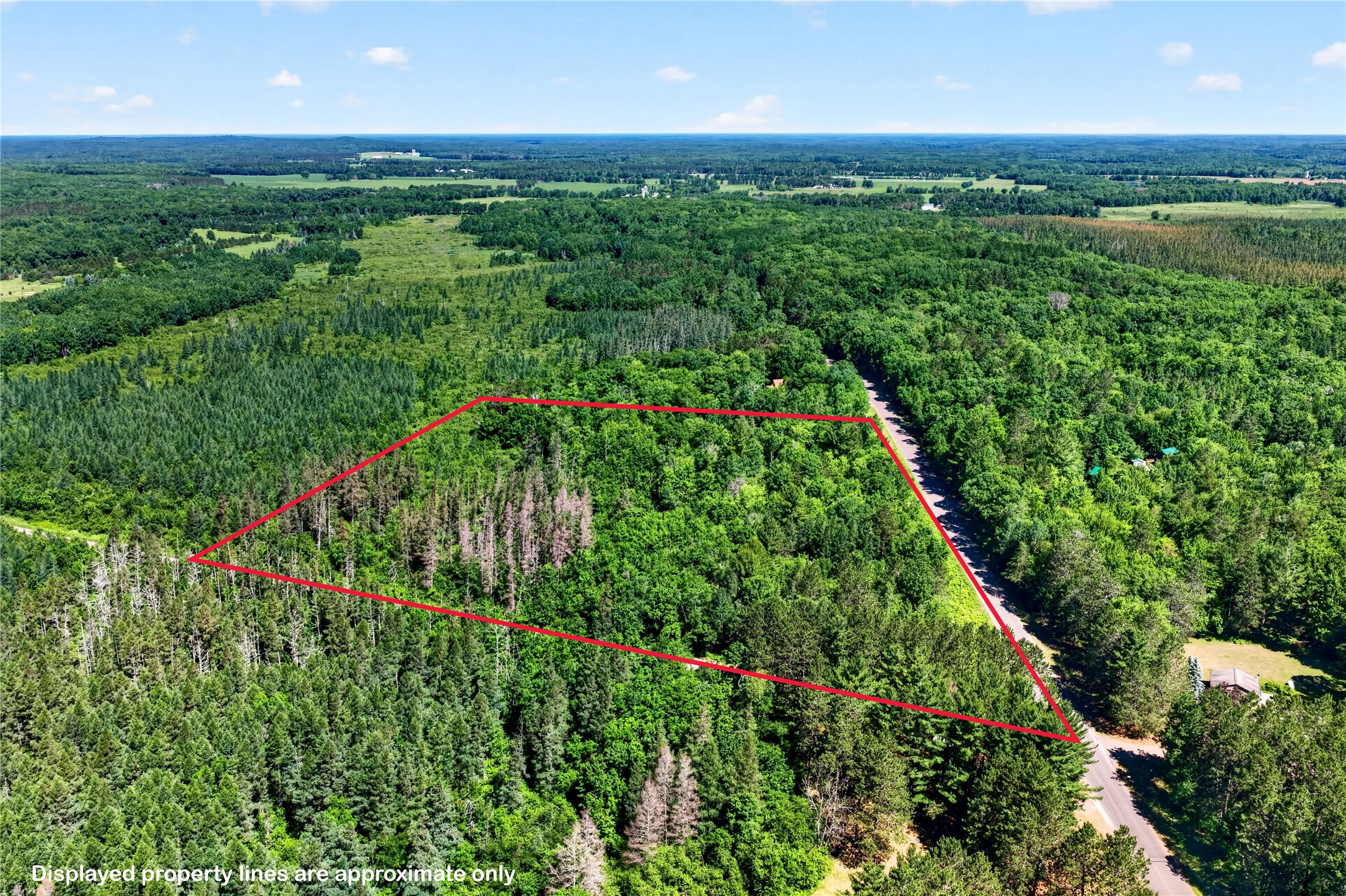 8.92 Acres Little Valley Road Property Photo 2