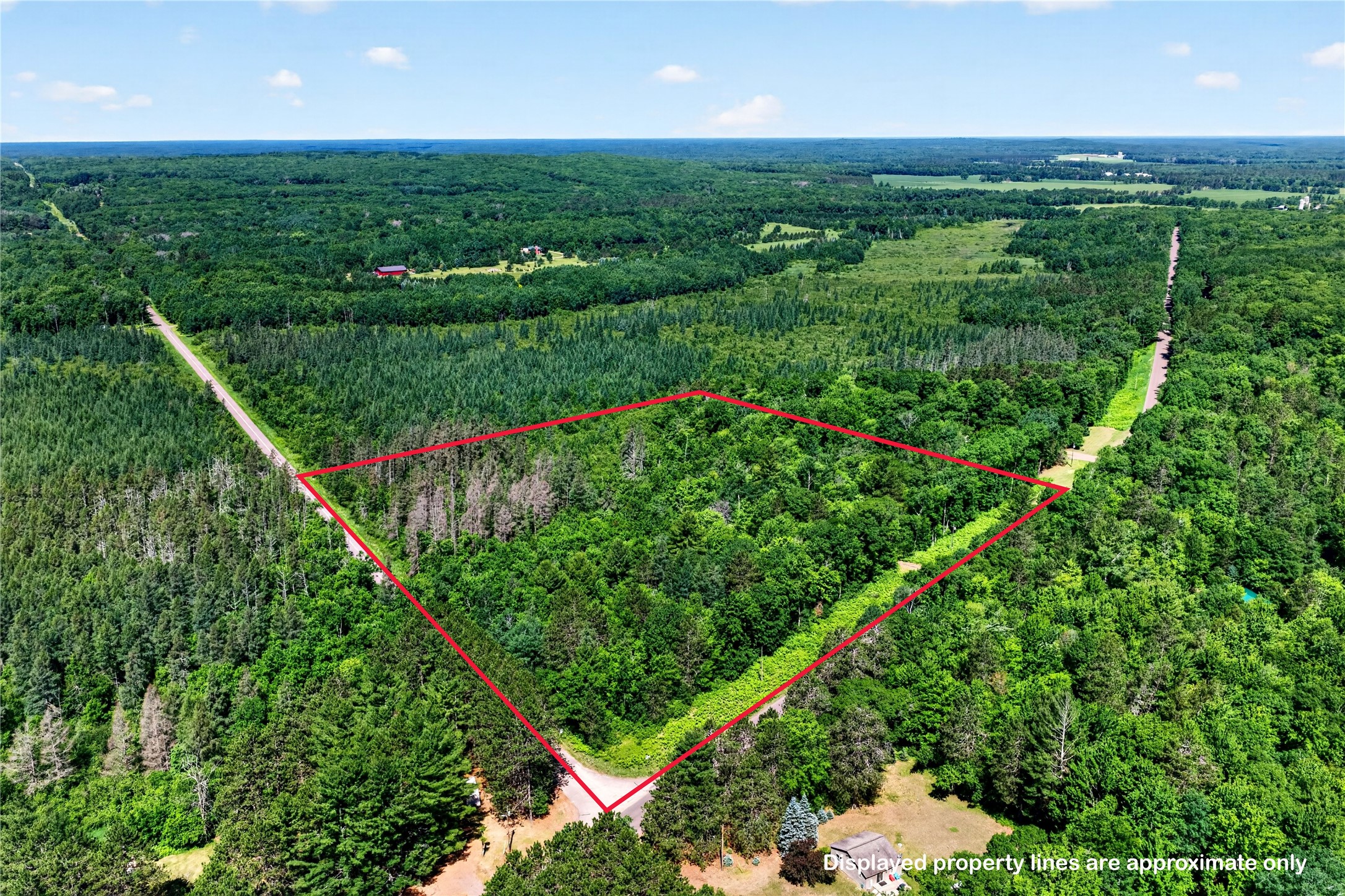 8.92 Acres Little Valley Road Property Photo 3