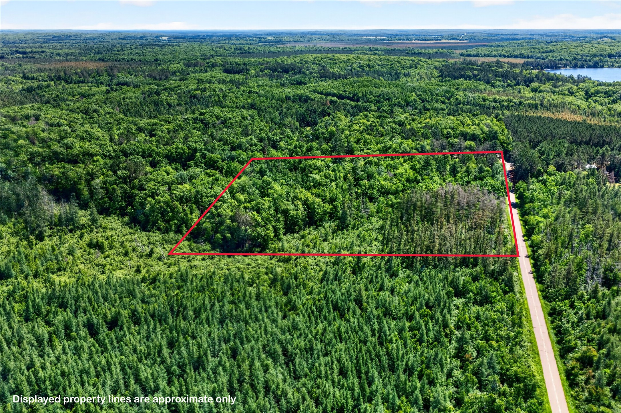 8.92 Acres Little Valley Road Property Photo 4