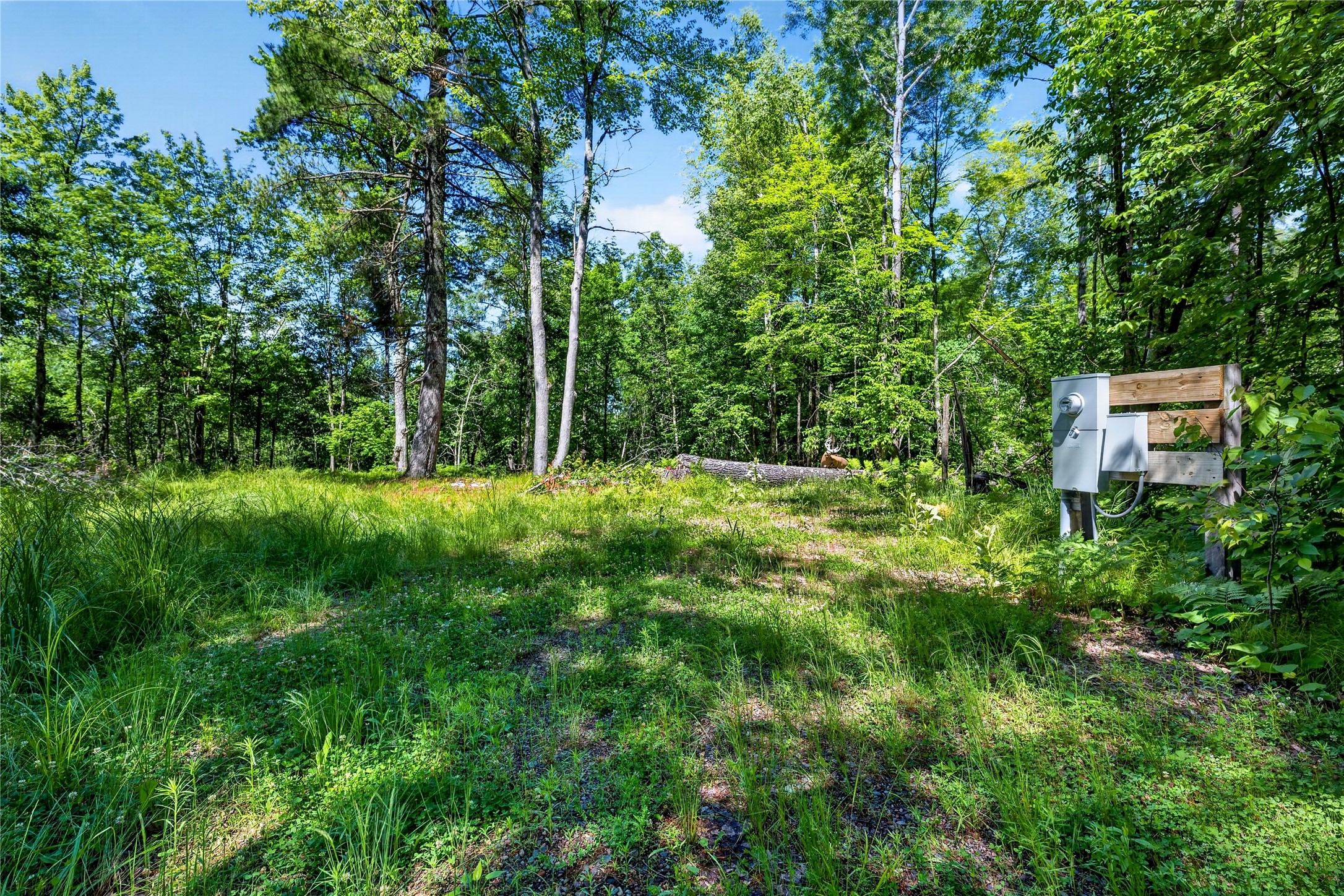 8.92 Acres Little Valley Road Property Photo 6