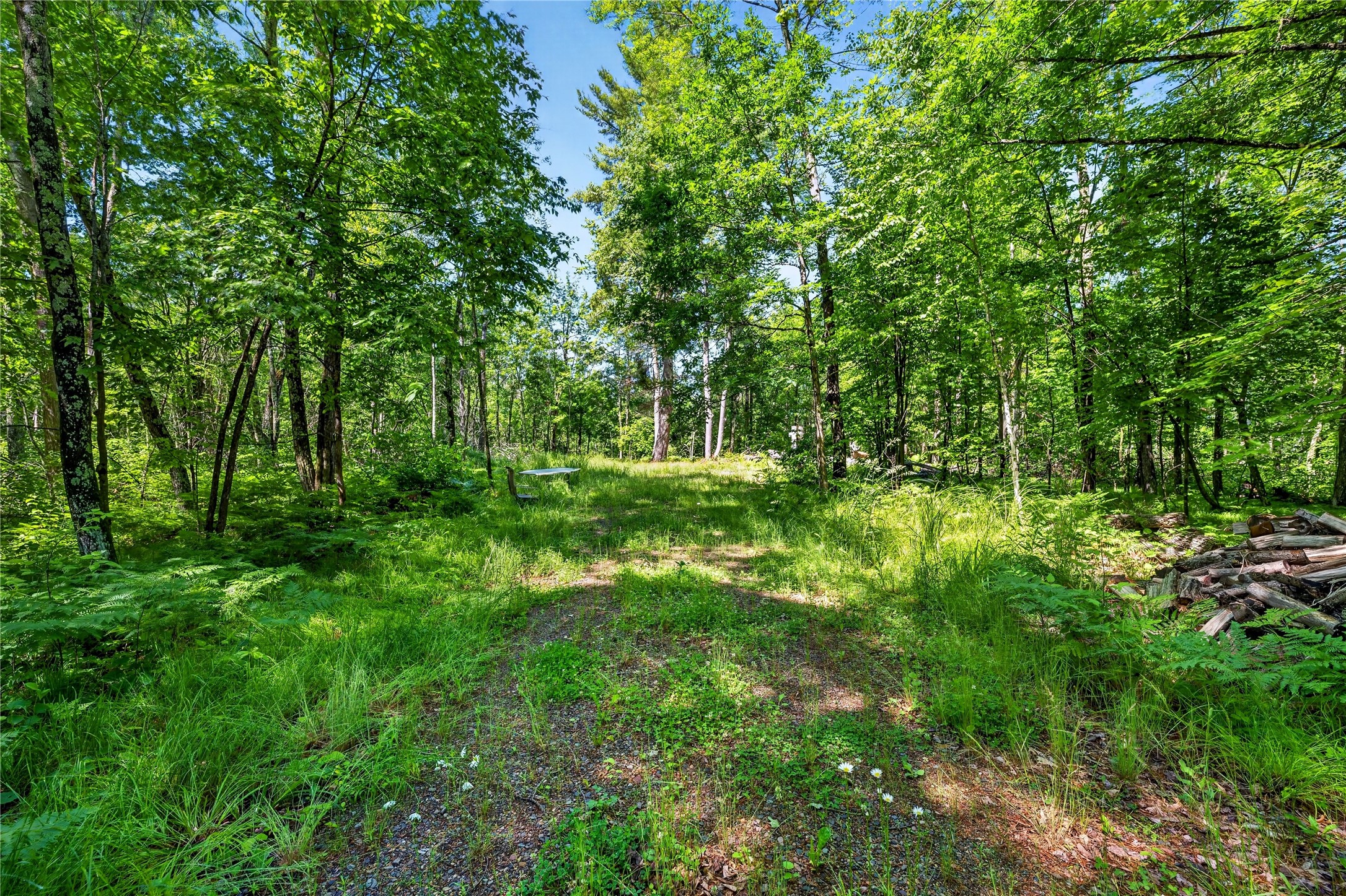8.92 Acres Little Valley Road Property Photo 7