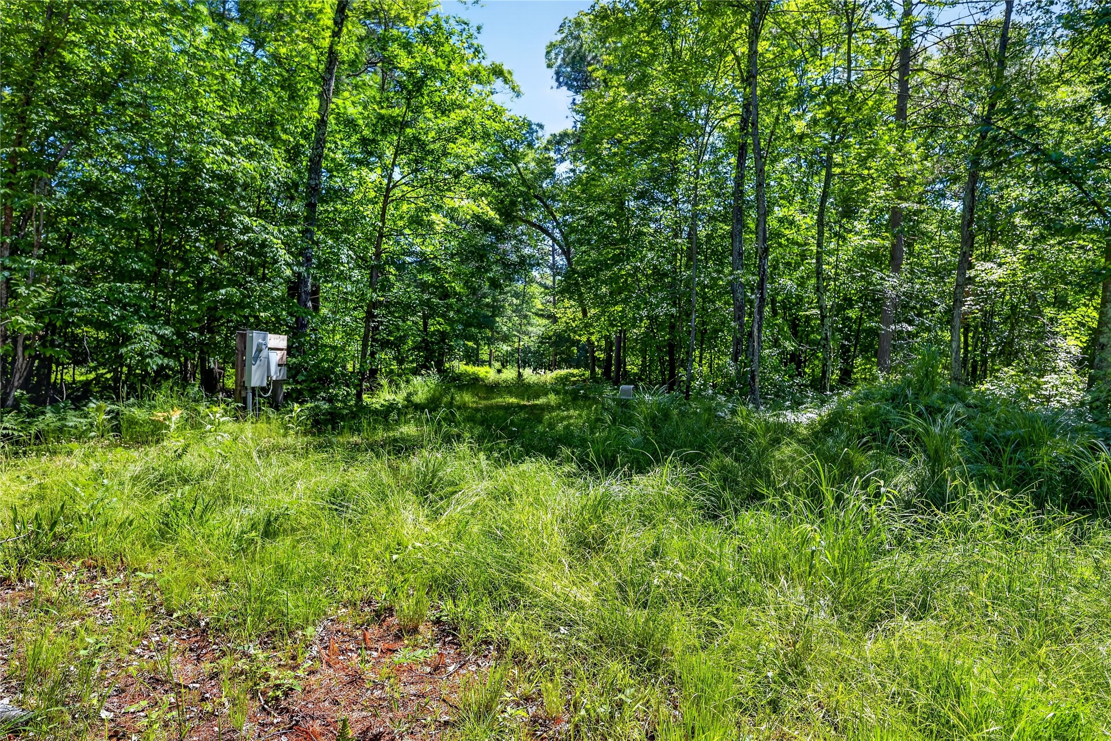 8.92 Acres Little Valley Road Property Photo 8