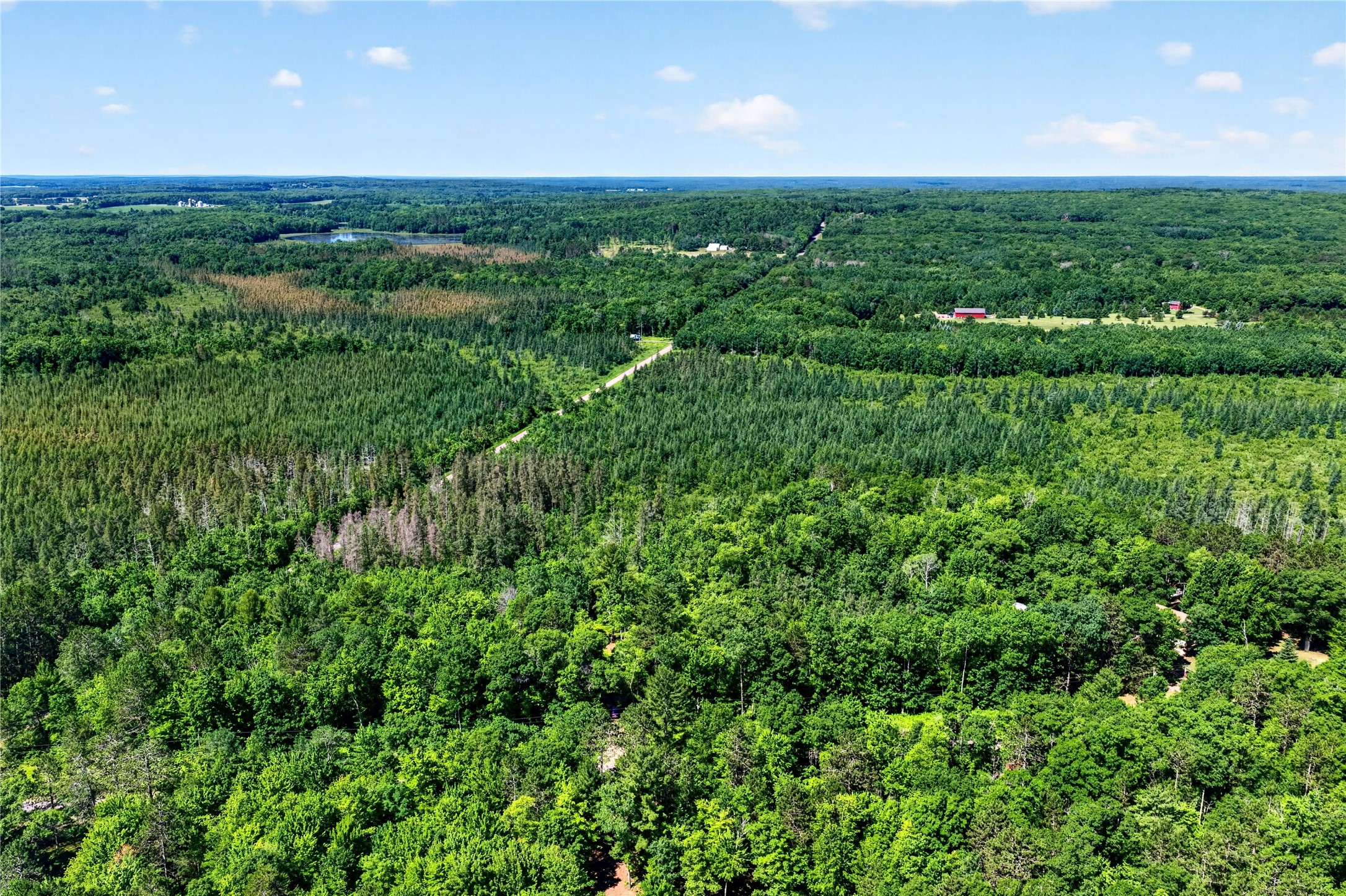 8.92 Acres Little Valley Road Property Photo 10