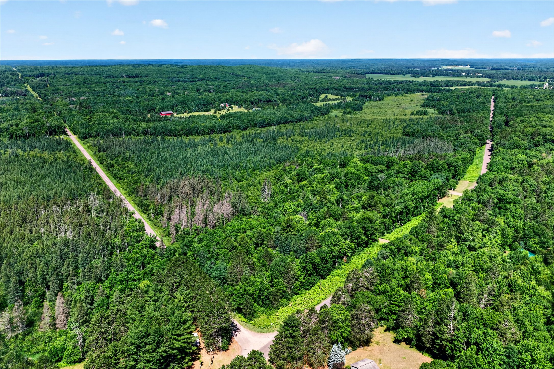 8.92 Acres Little Valley Road Property Photo 11