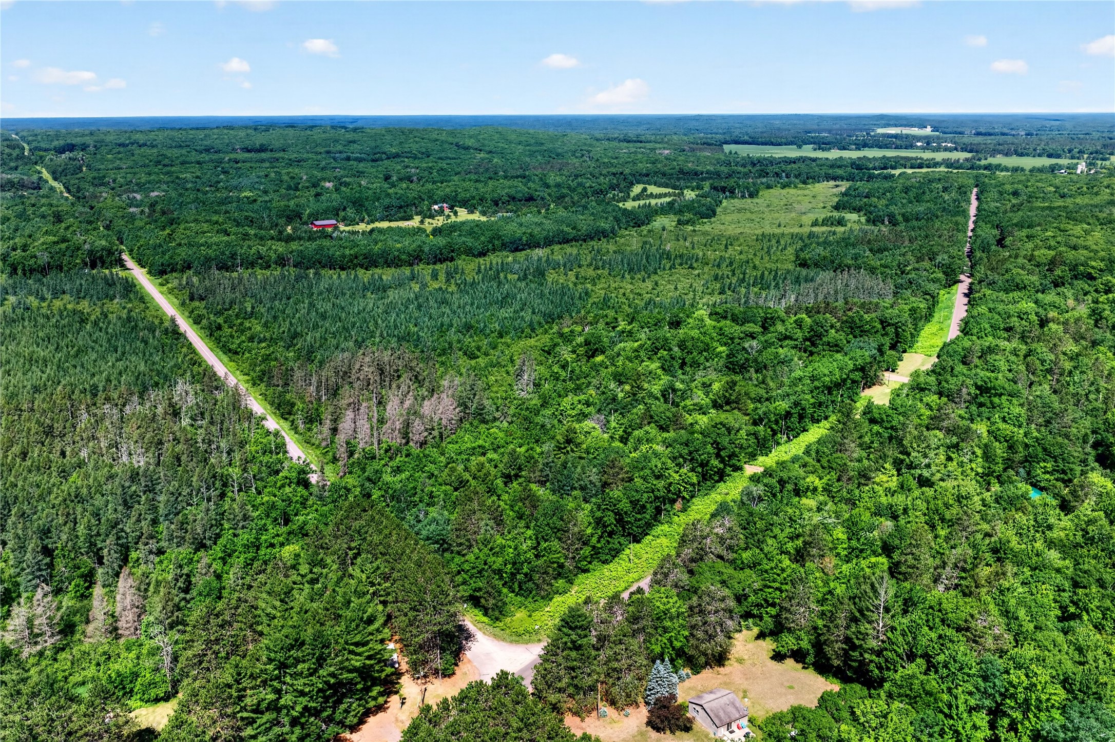 8.92 Acres Little Valley Road Property Photo 12