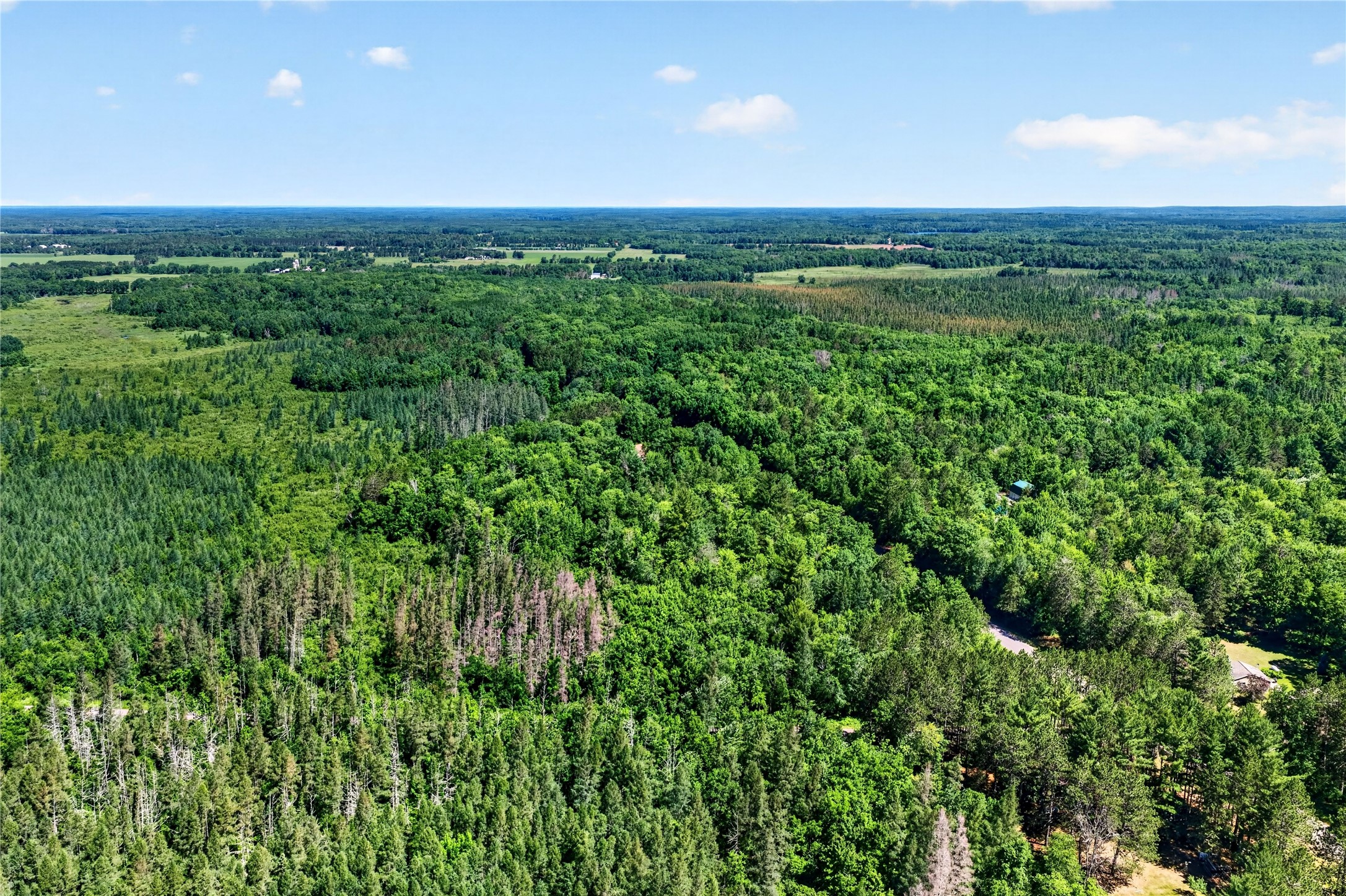 8.92 Acres Little Valley Road Property Photo 14