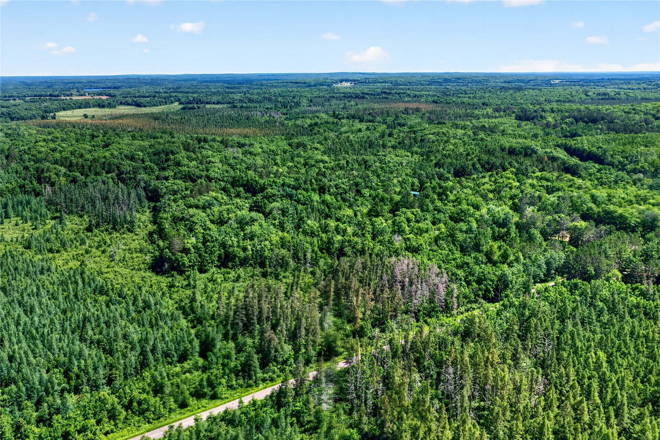 8.92 Acres Little Valley Road Property Photo 15