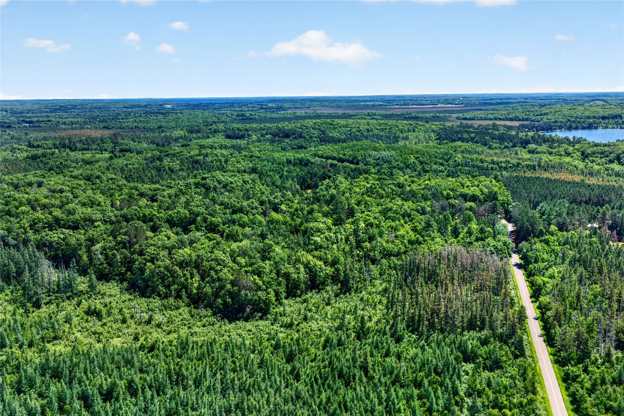 8.92 Acres Little Valley Road Property Photo 17