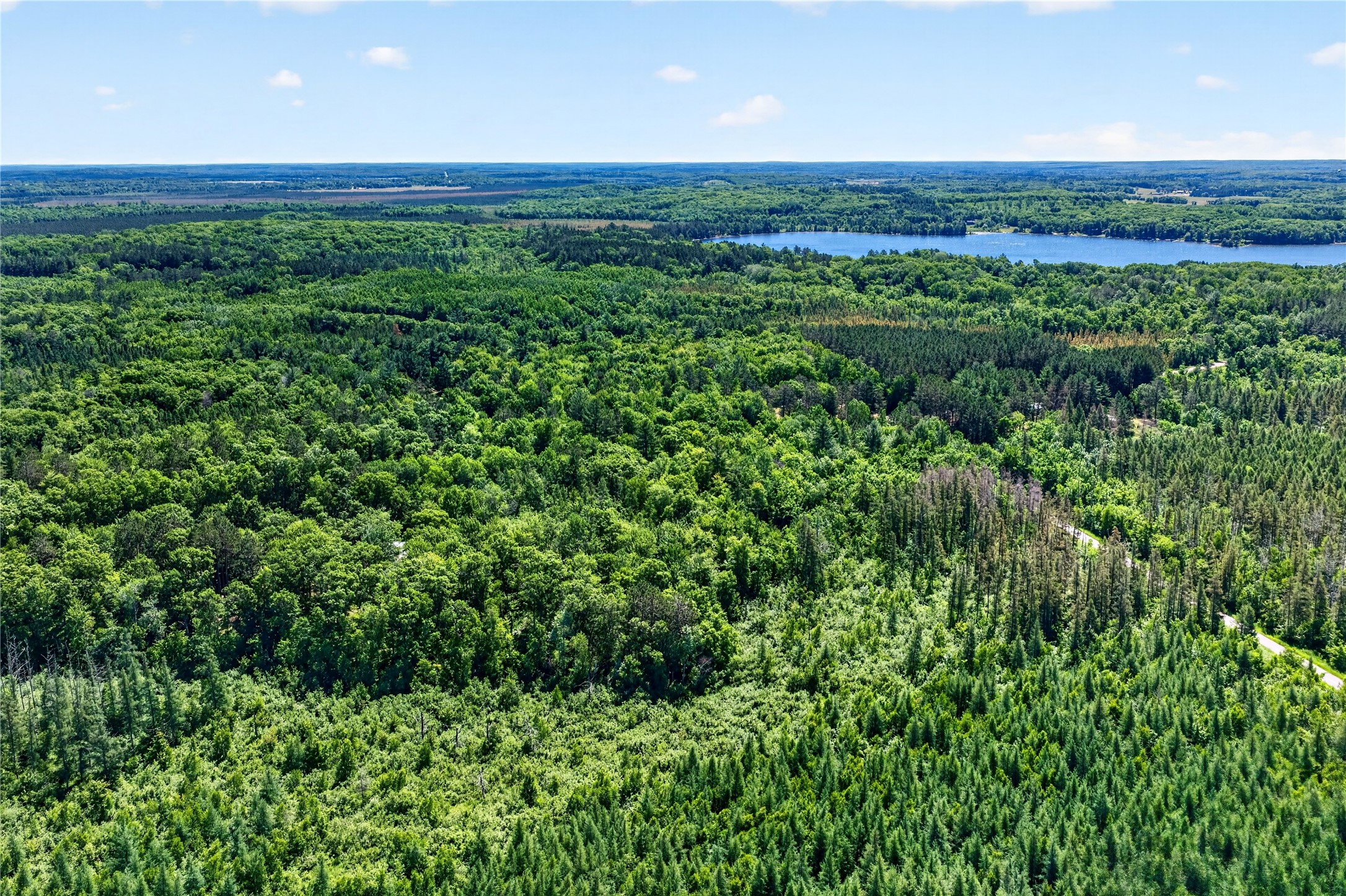 8.92 Acres Little Valley Road Property Photo 19