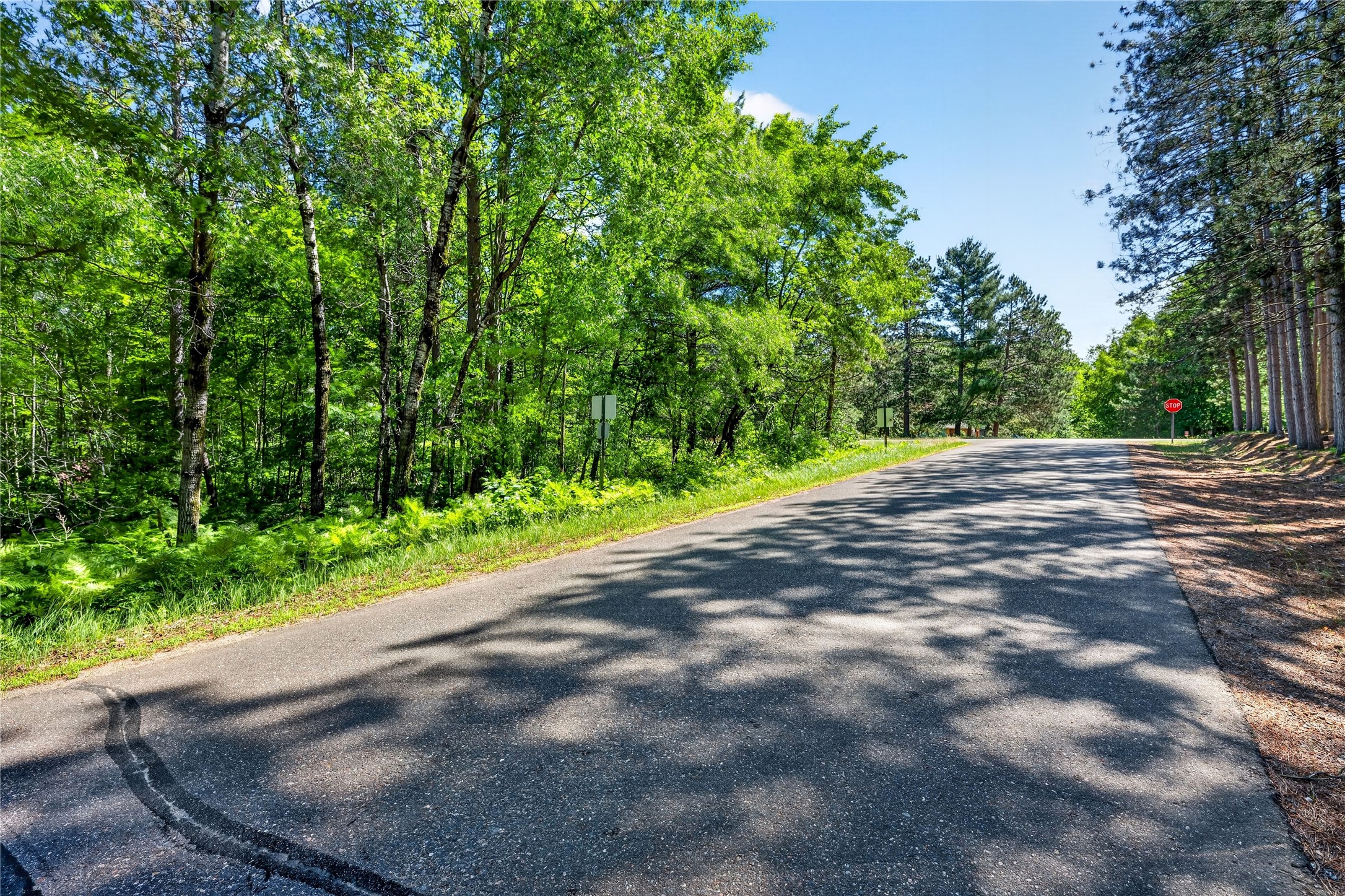 8.92 Acres Little Valley Road Property Photo 23