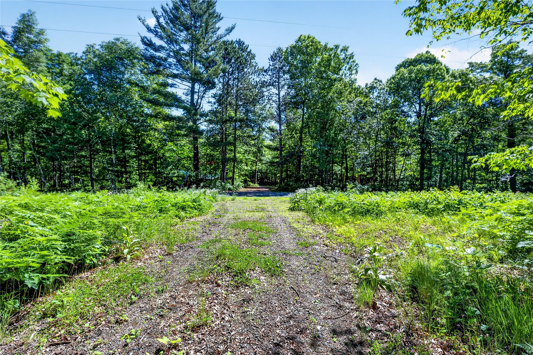 8.92 Acres Little Valley Road Property Photo 26