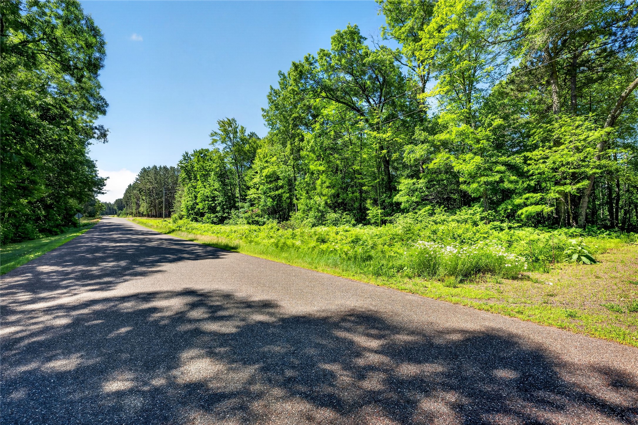 8.92 Acres Little Valley Road Property Photo 27