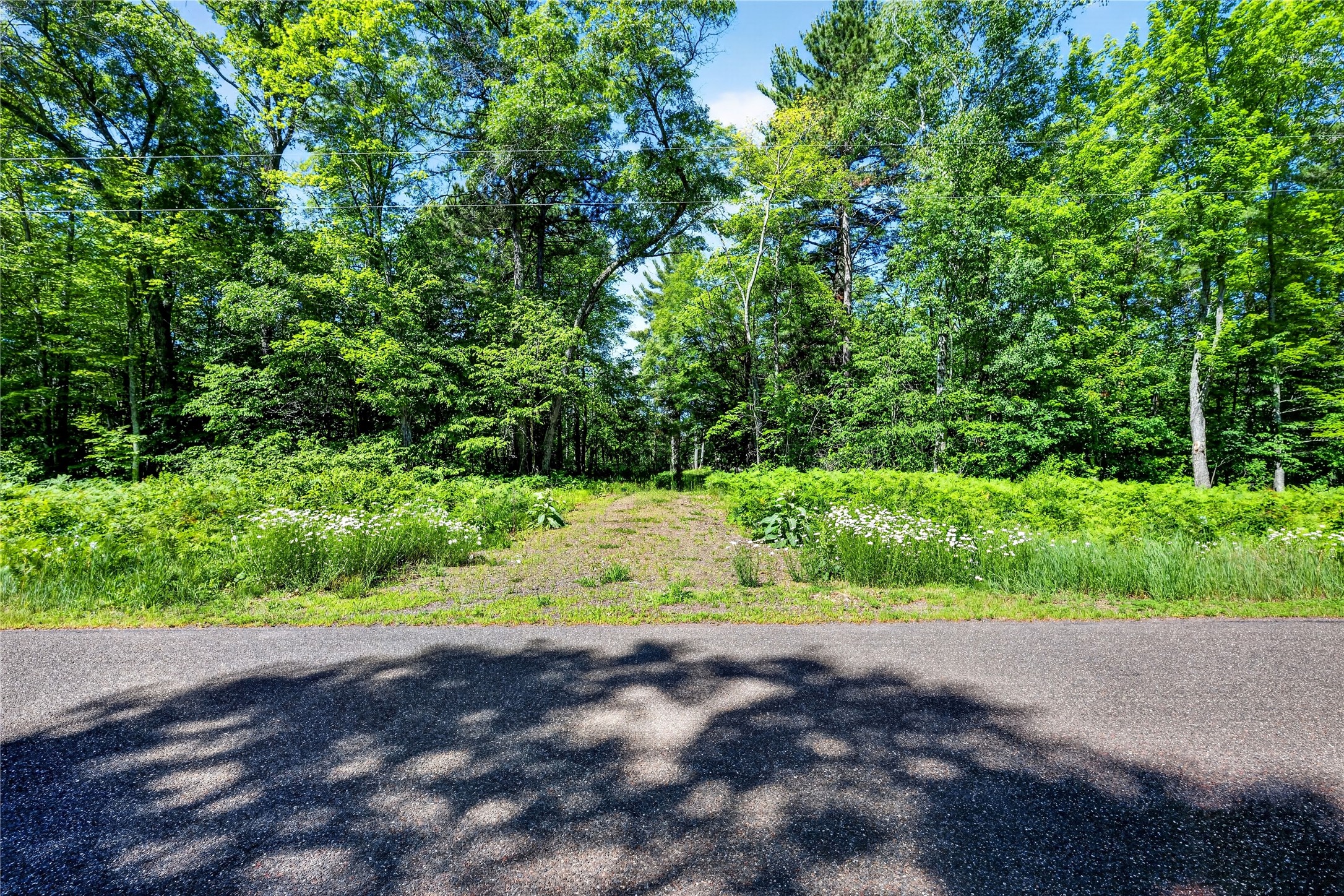 8.92 Acres Little Valley Road Property Photo 28