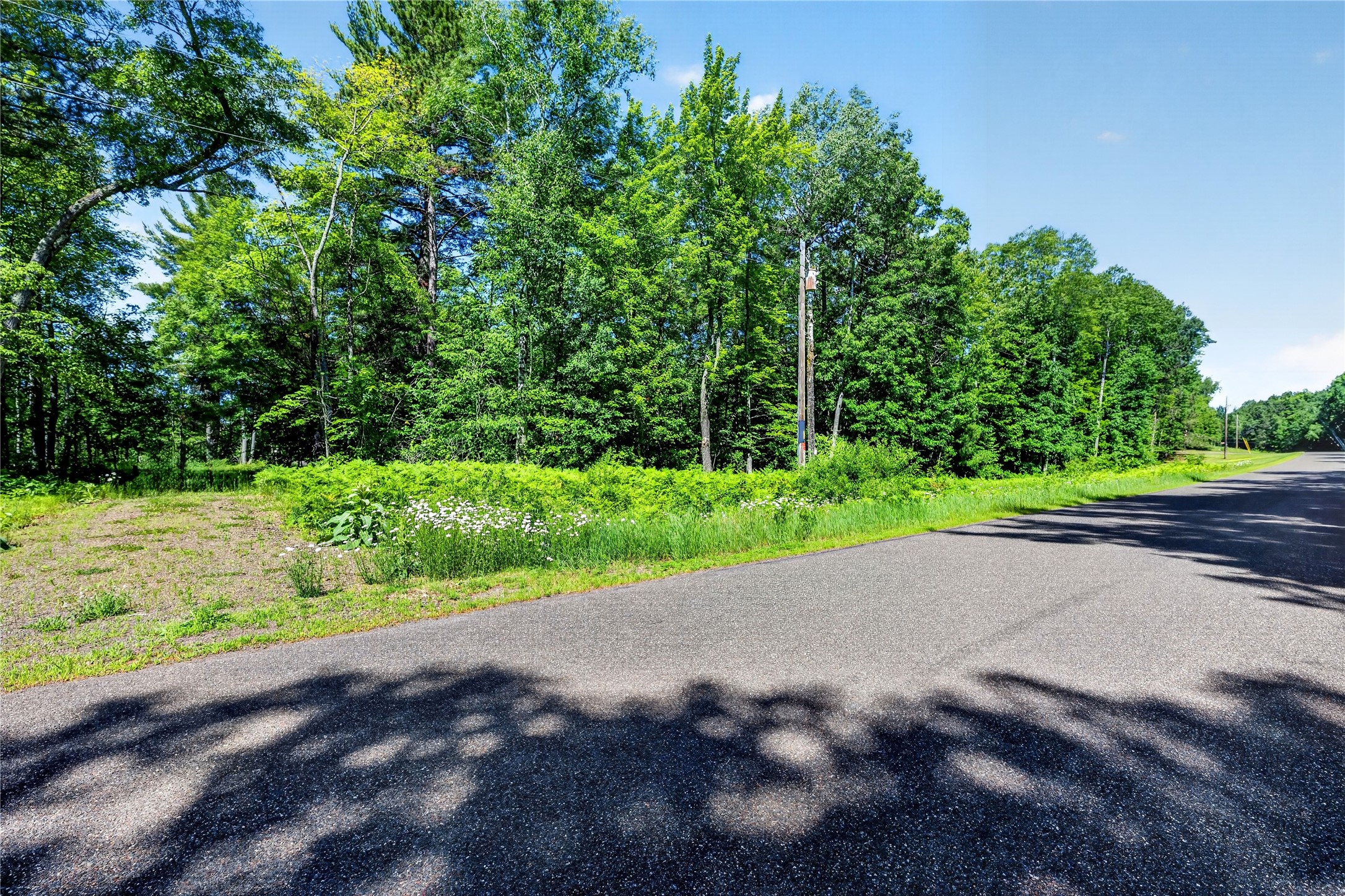 8.92 Acres Little Valley Road Property Photo 29
