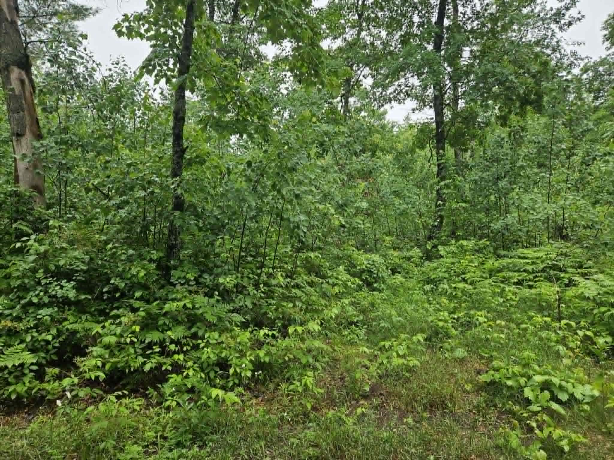 Lot 3 Hilly Lane Property Photo 1