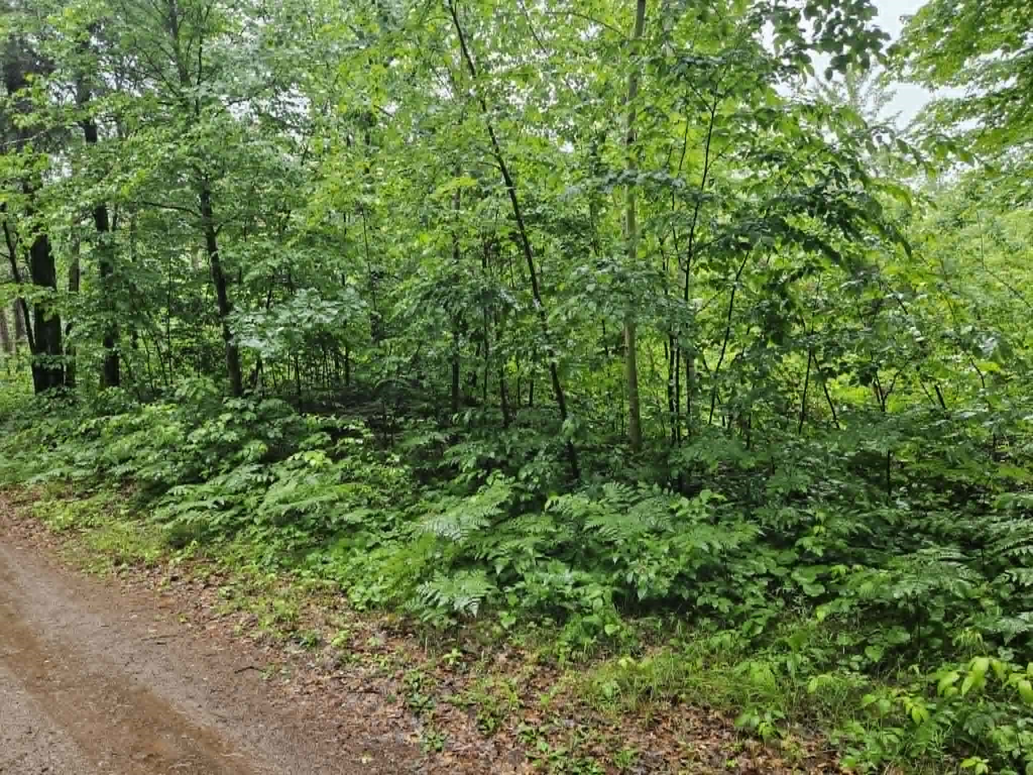 Lot 3 Hilly Lane Property Photo 4