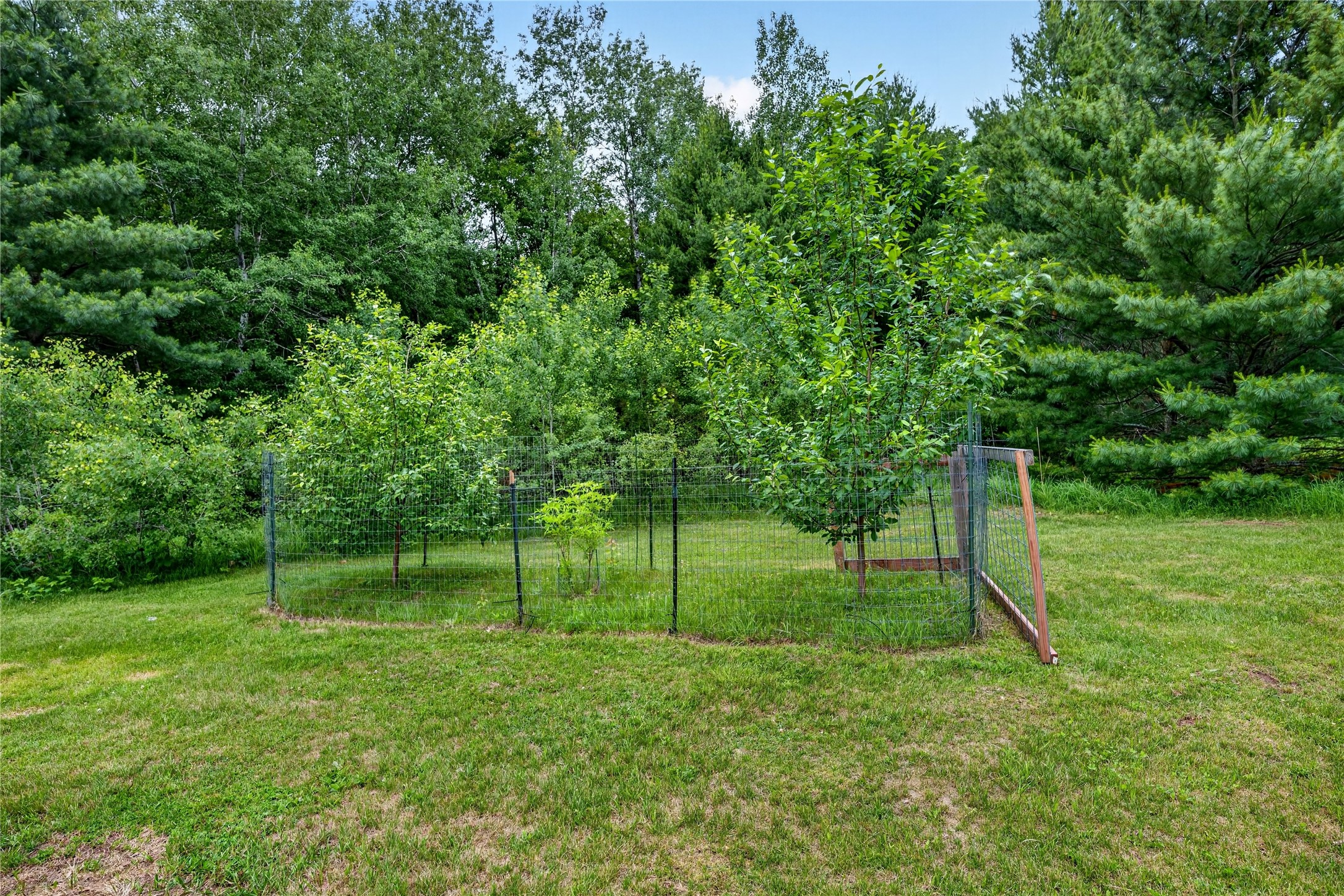 24565 Windorski Road Property Photo 44