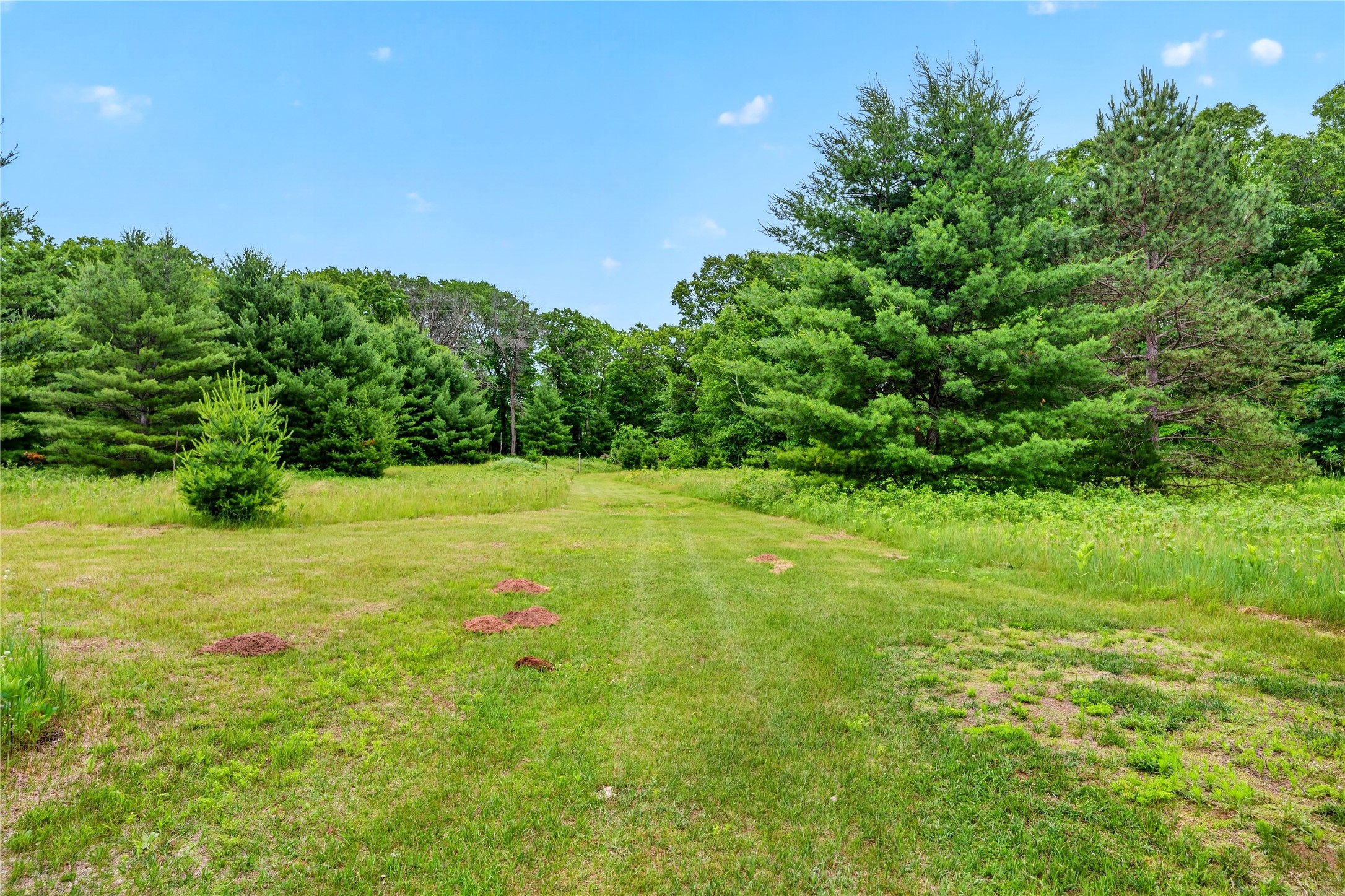 24565 Windorski Road Property Photo 49