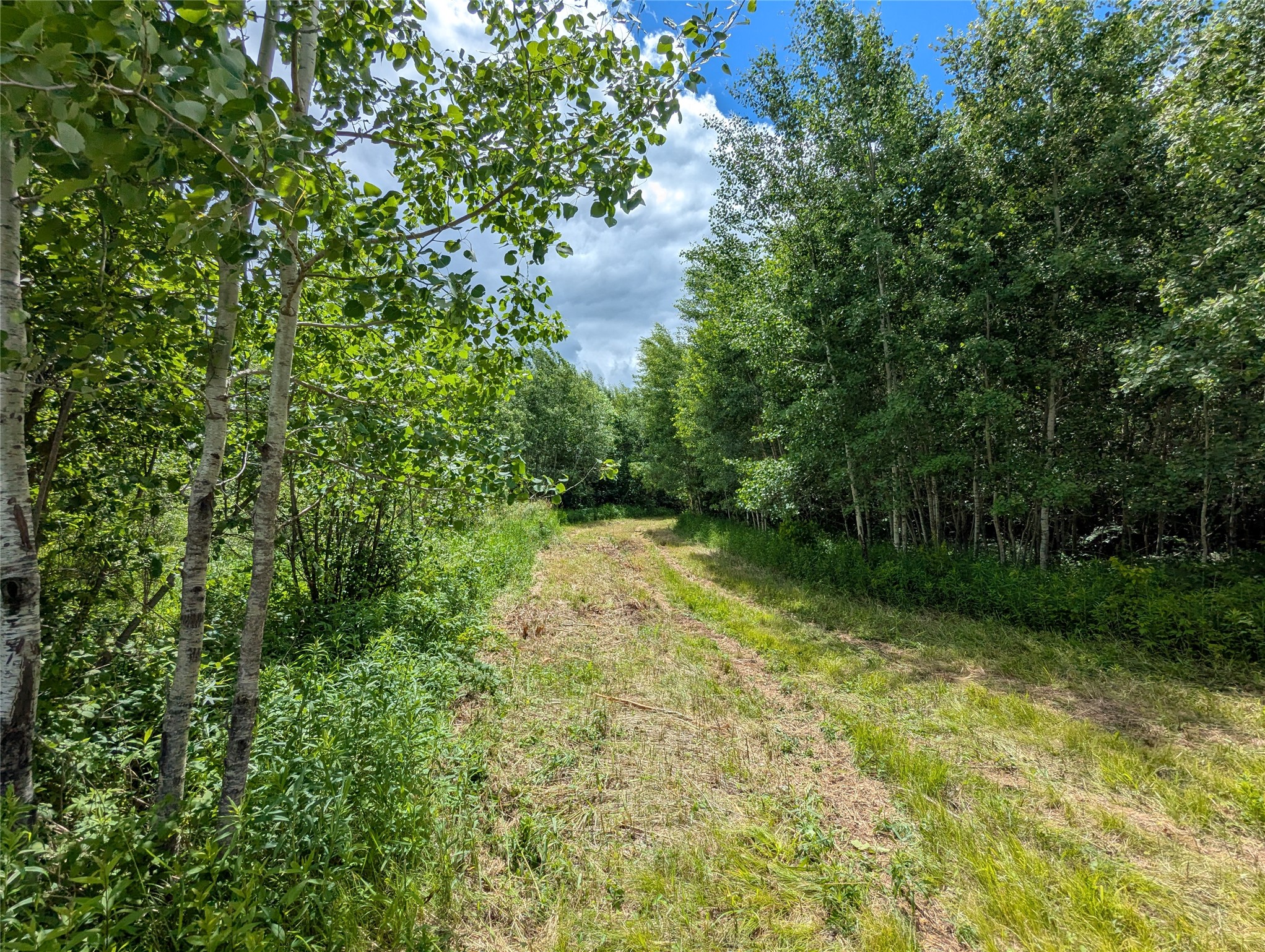 N4180 Wilderness Road Property Photo 6