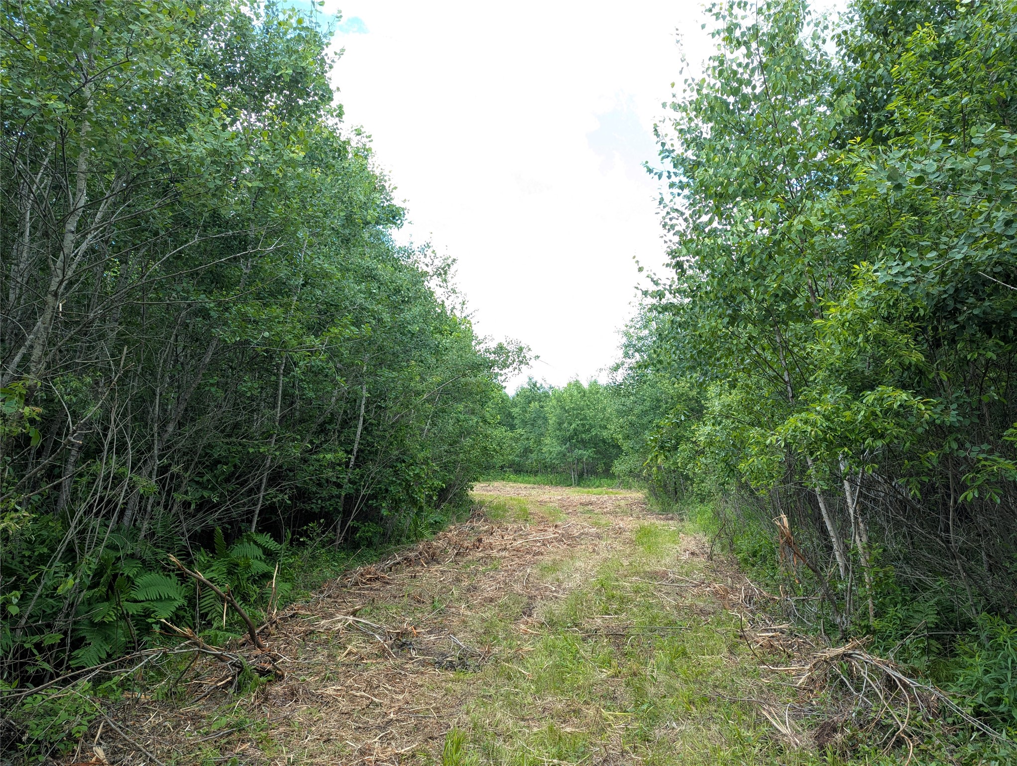 N4180 Wilderness Road Property Photo 8