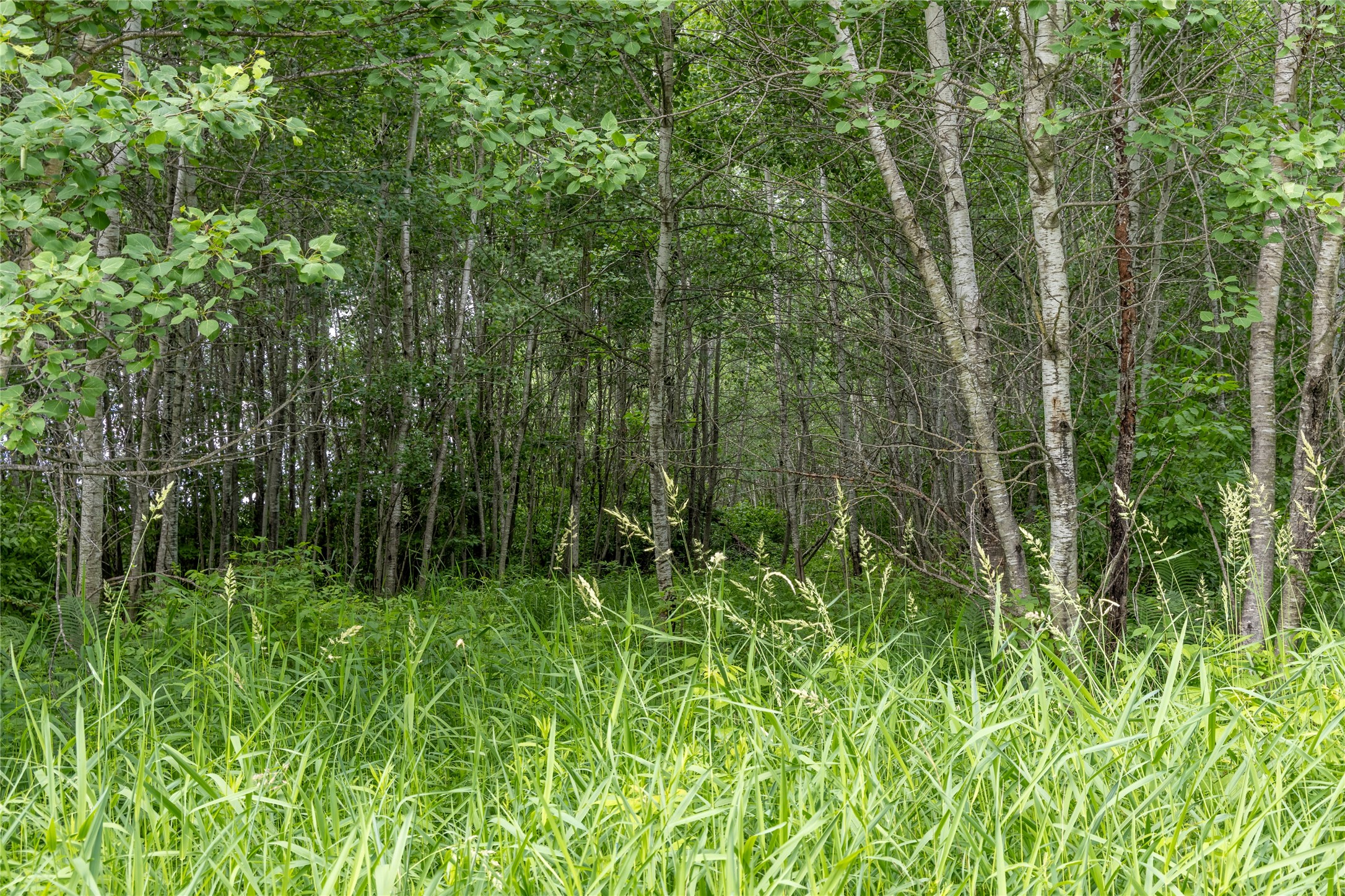 N4180 Wilderness Road Property Photo 9