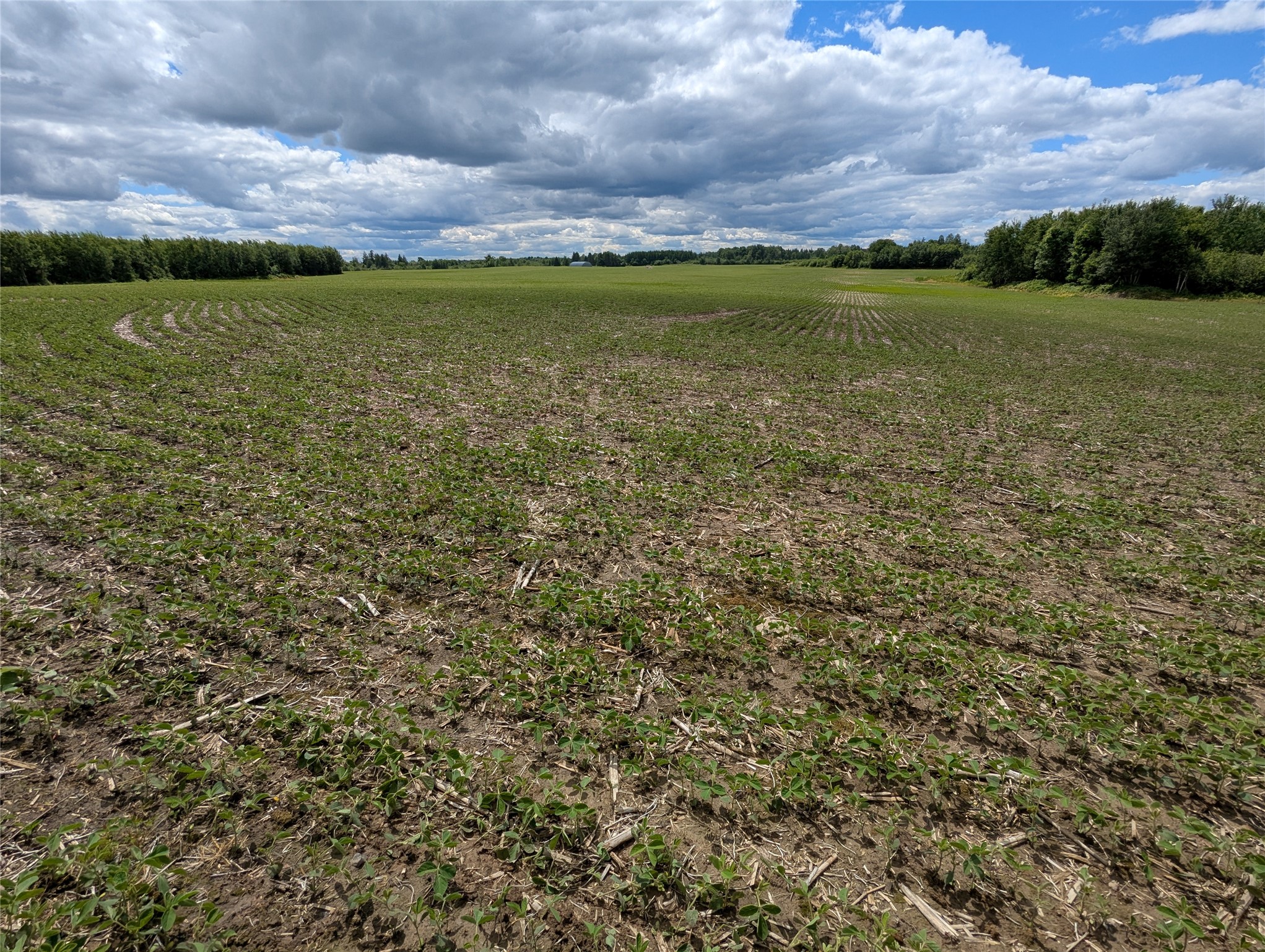 N4180 Wilderness Road Property Photo 13