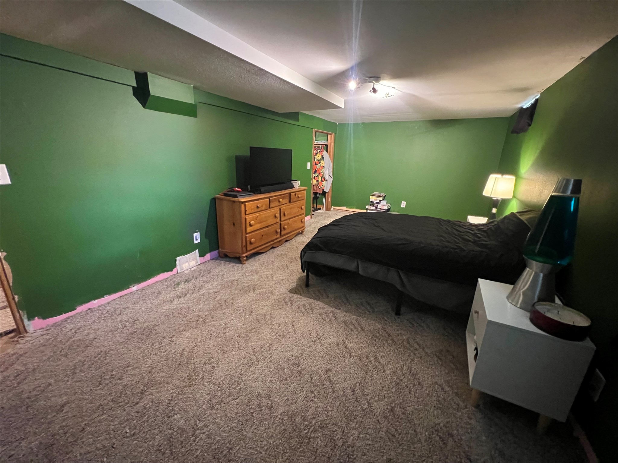 411 E Coleman Street Property Photo 33