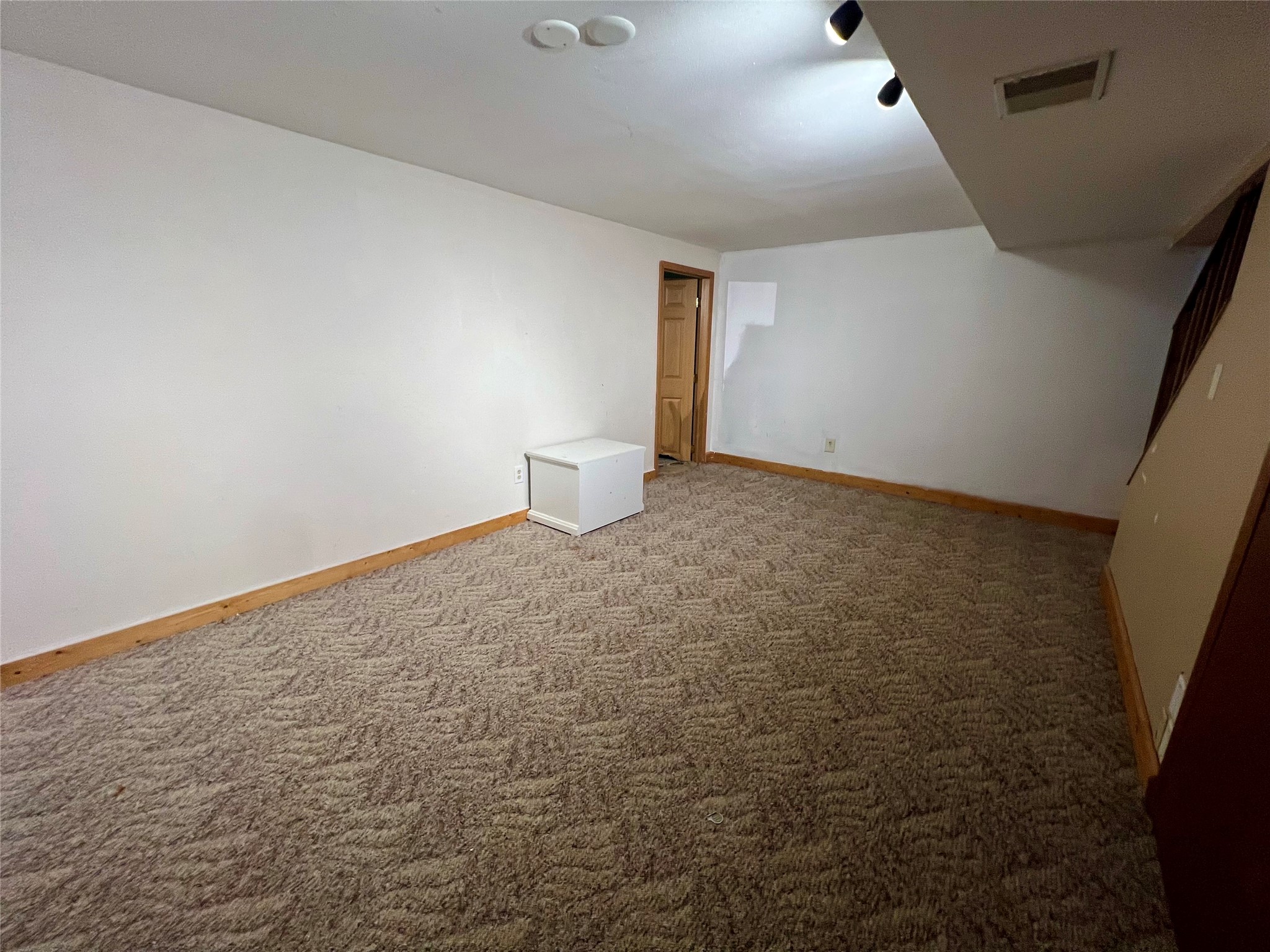 411 E Coleman Street Property Photo 35