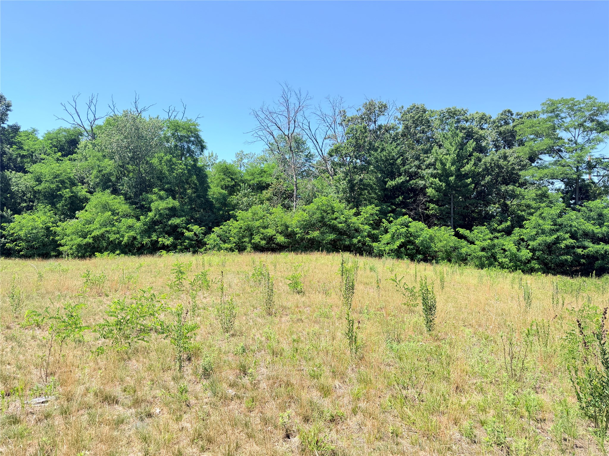 Lot 1 Richards Drive Property Photo 10