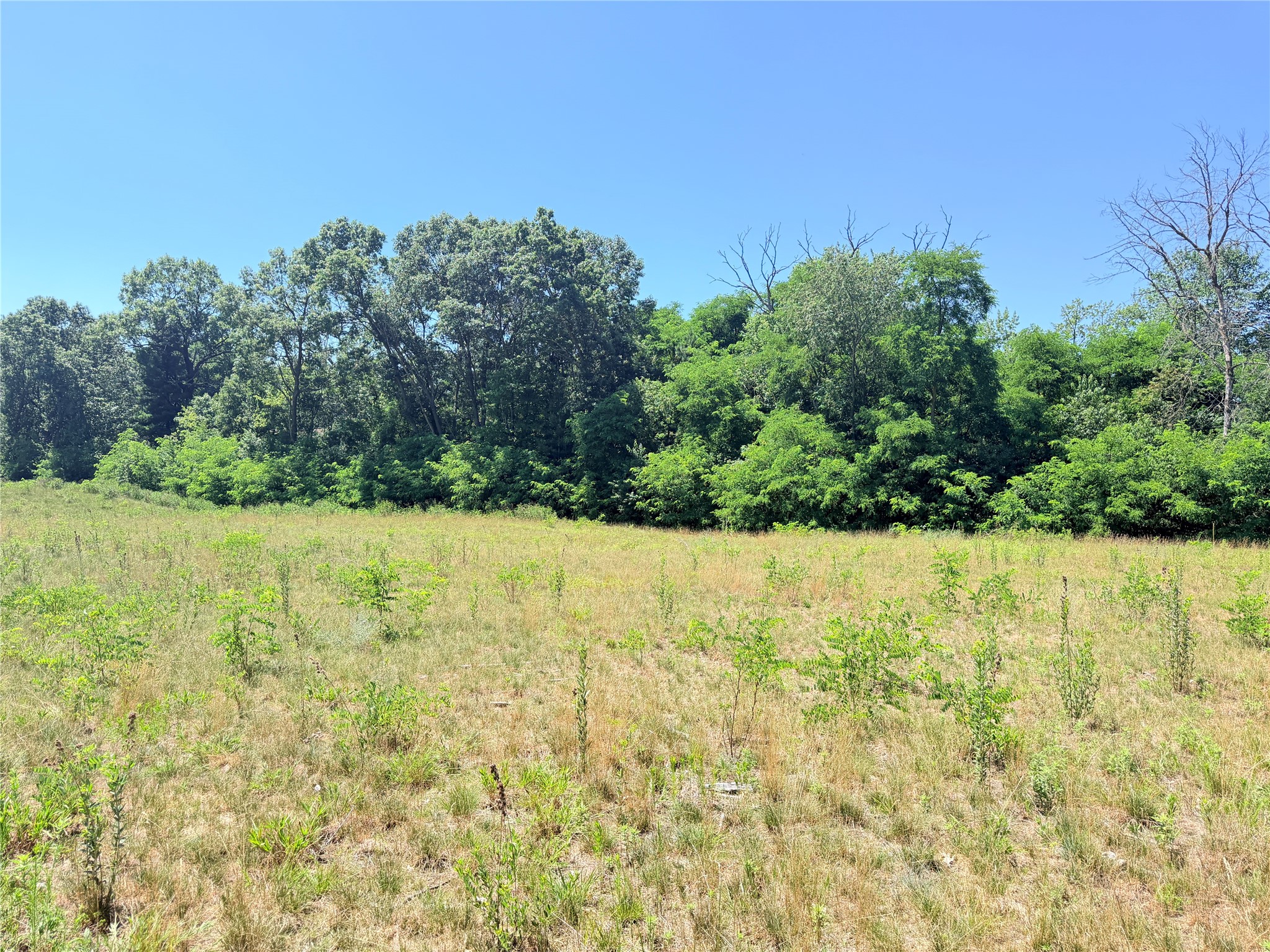 Lot 1 Richards Drive Property Photo 11