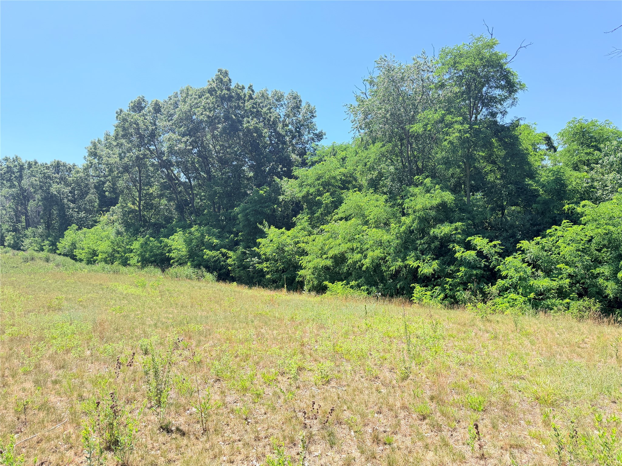 Lot 1 Richards Drive Property Photo 13