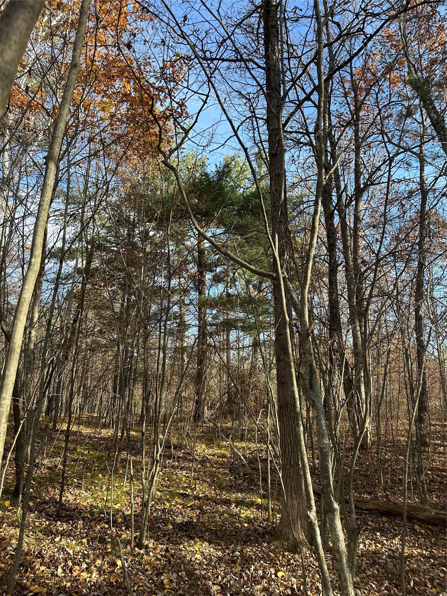 Xx Shore Drive Property Photo 10