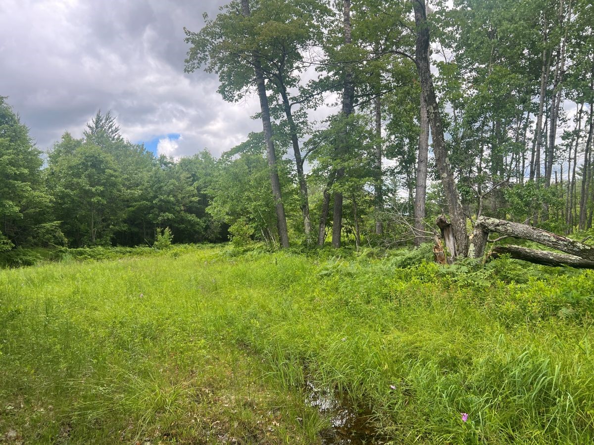 0 Old Highway 54 Property Photo 2