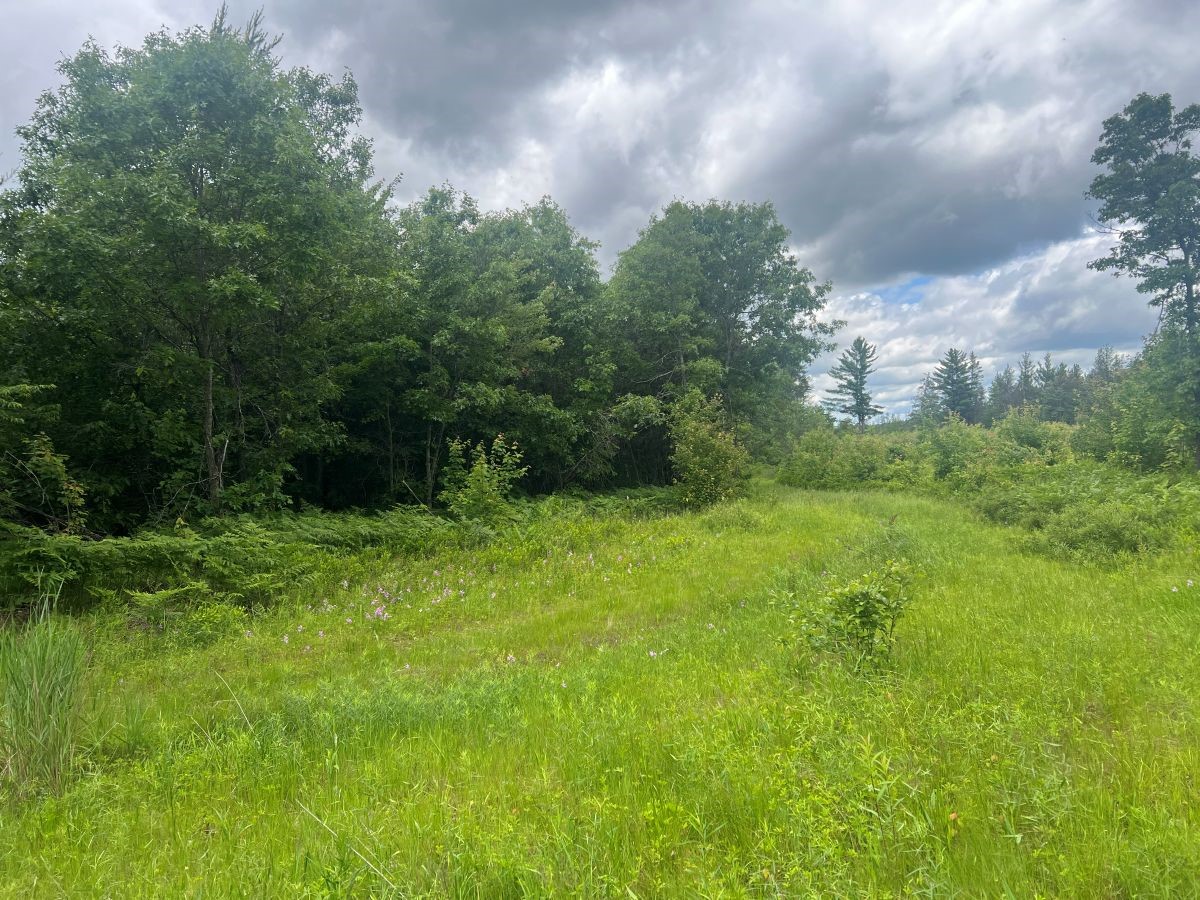 0 Old Highway 54 Property Photo 3