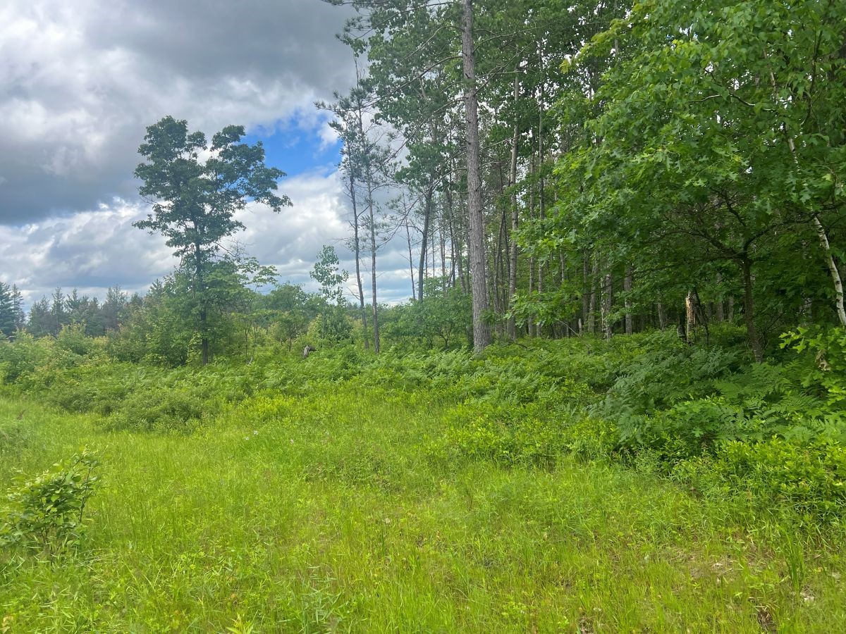 0 Old Highway 54 Property Photo 4
