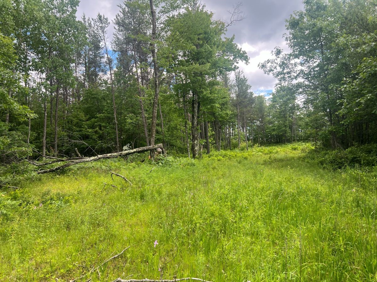 0 Old Highway 54 Property Photo 5