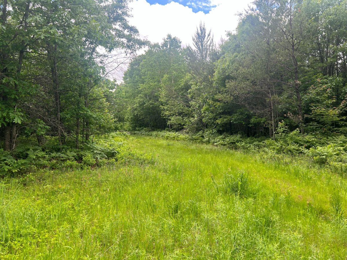 0 Old Highway 54 Property Photo 6