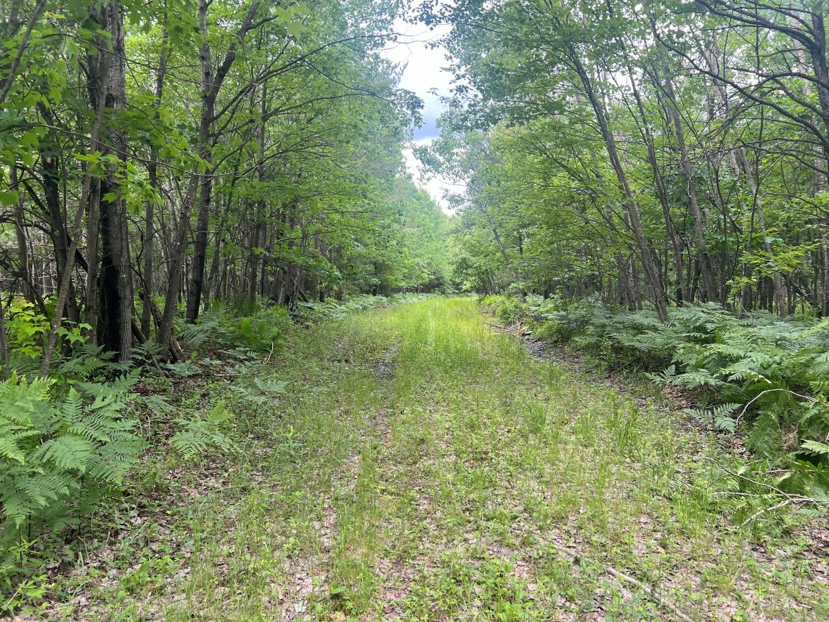 0 Old Highway 54 Property Photo 7