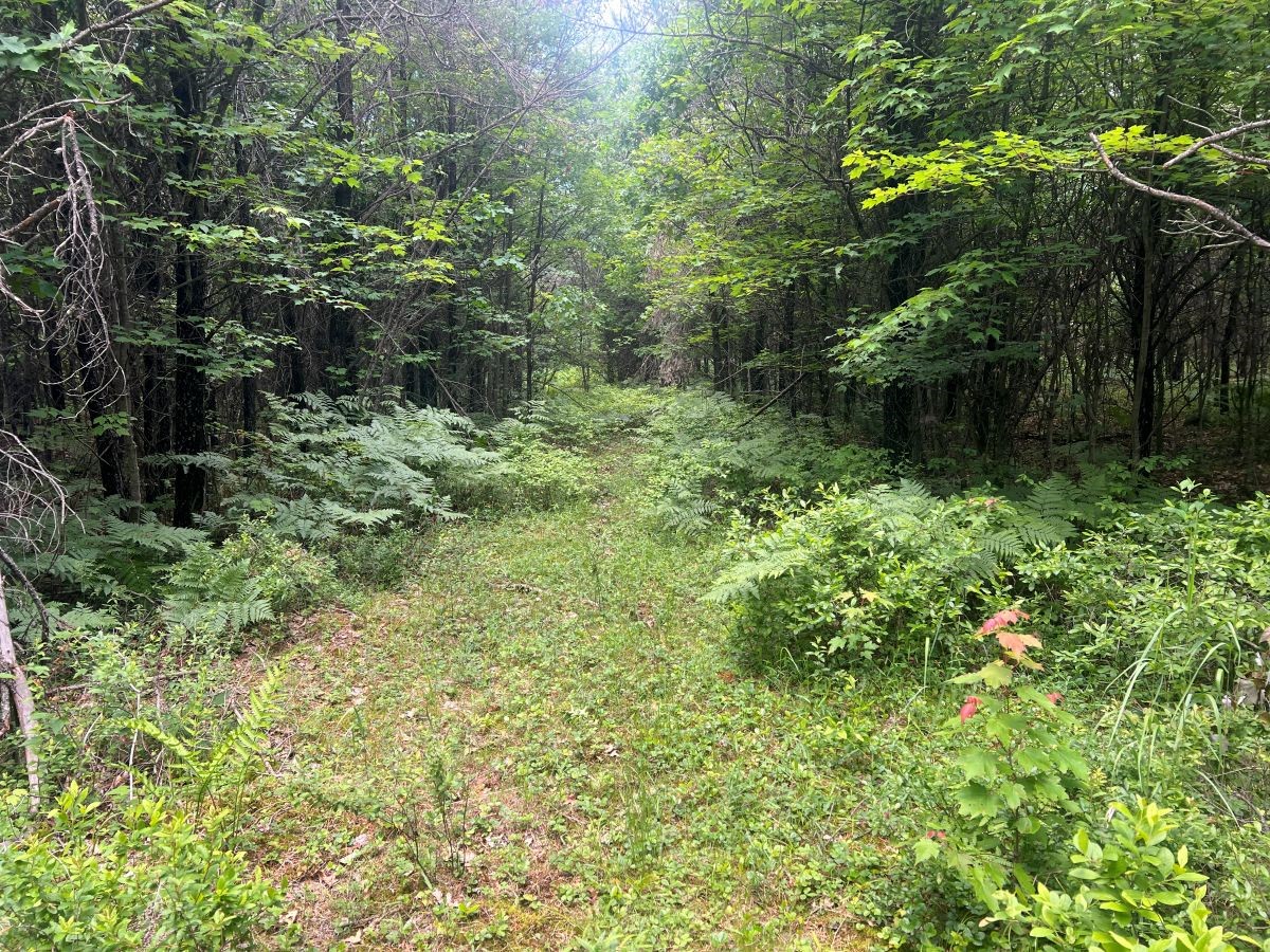 0 Old Highway 54 Property Photo 13