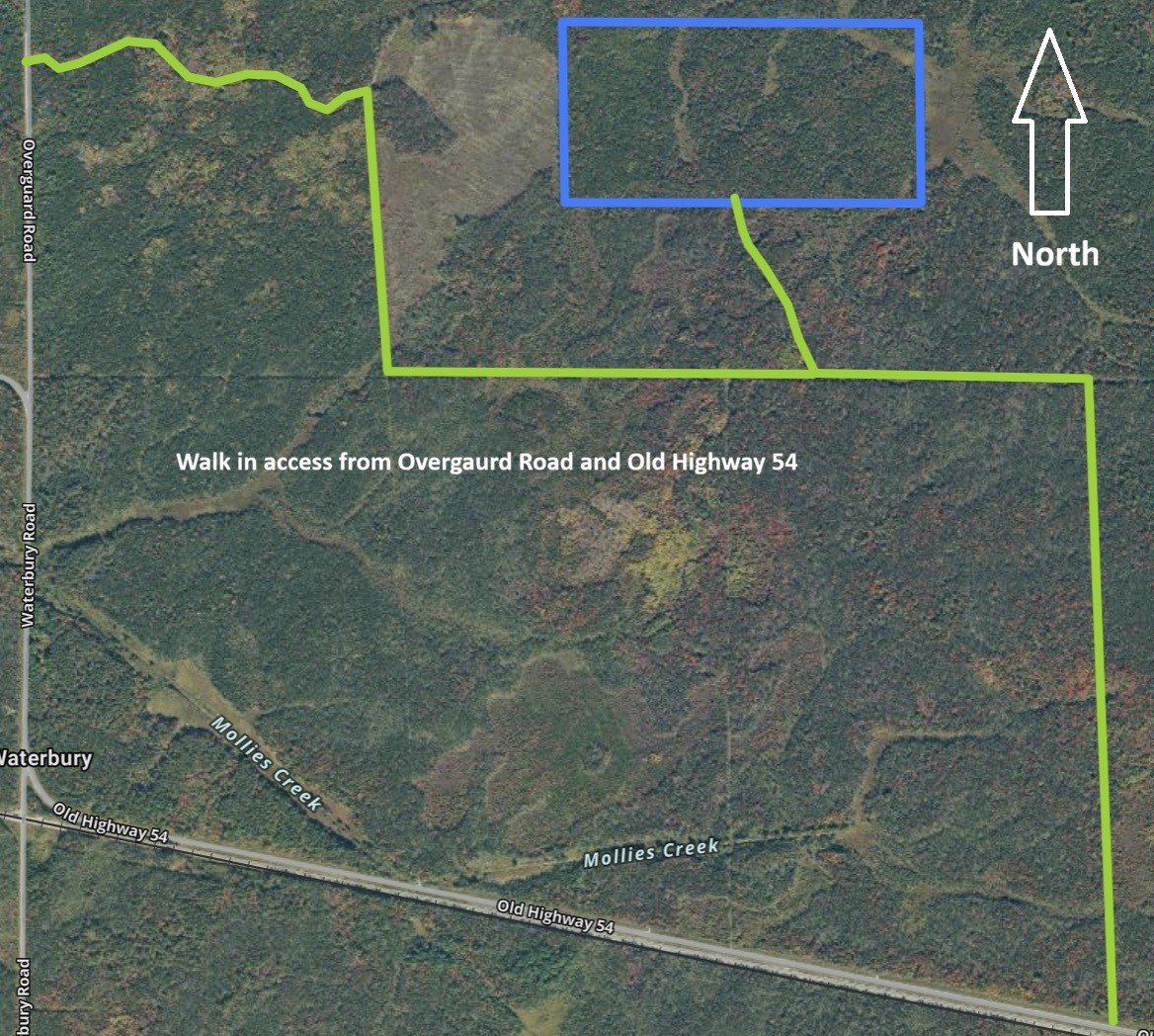 0 Old Highway 54 Property Photo 15