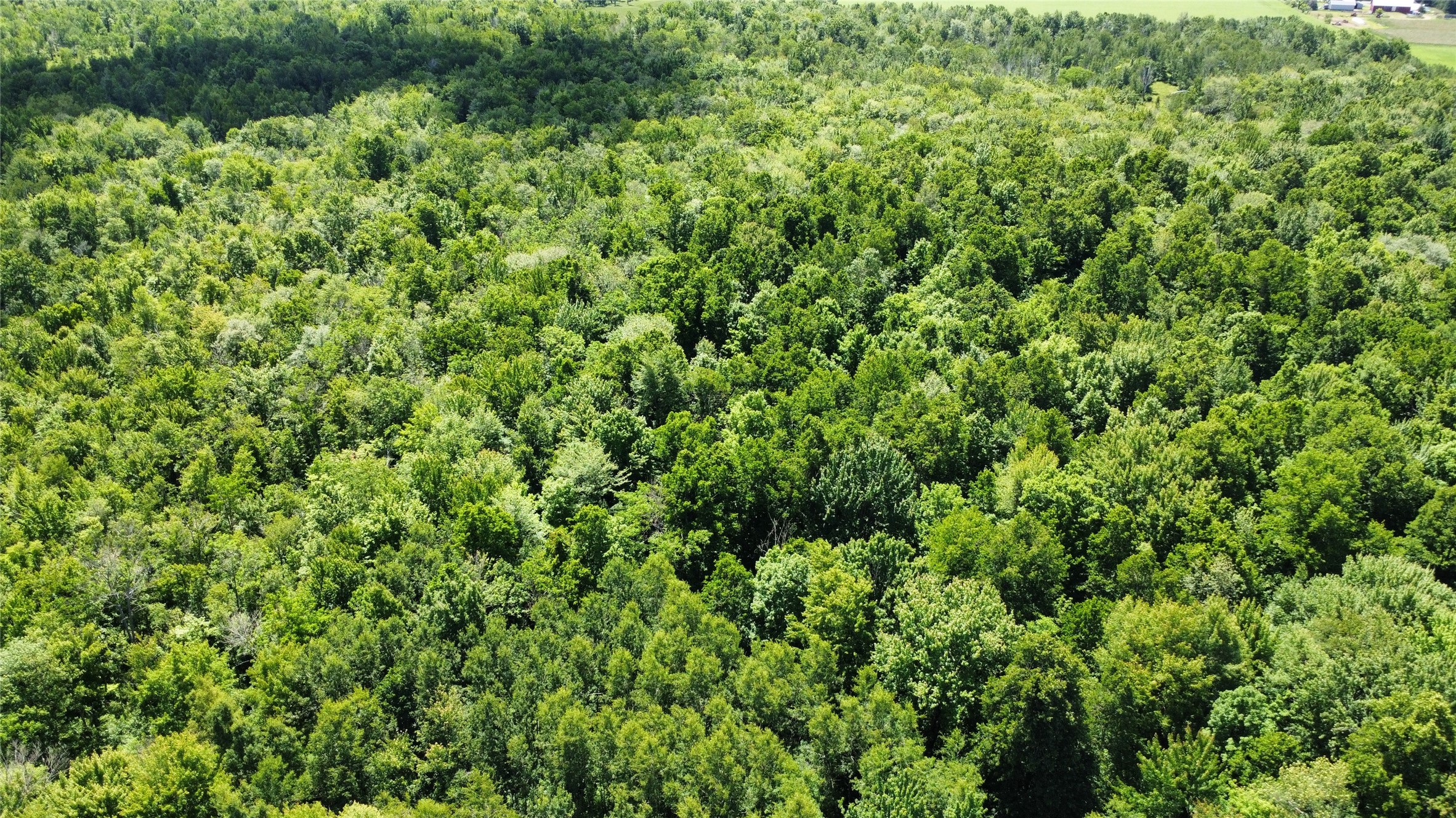 Ooo Snowshoe Road Property Photo 1