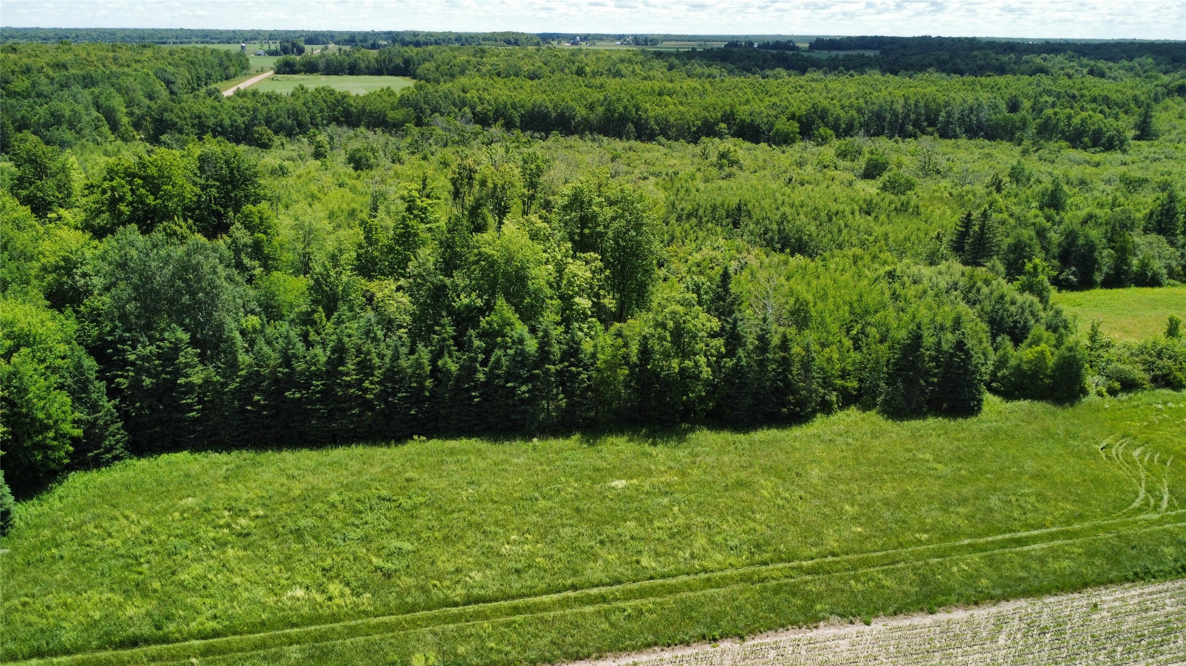 Ooo Snowshoe Road Property Photo 3