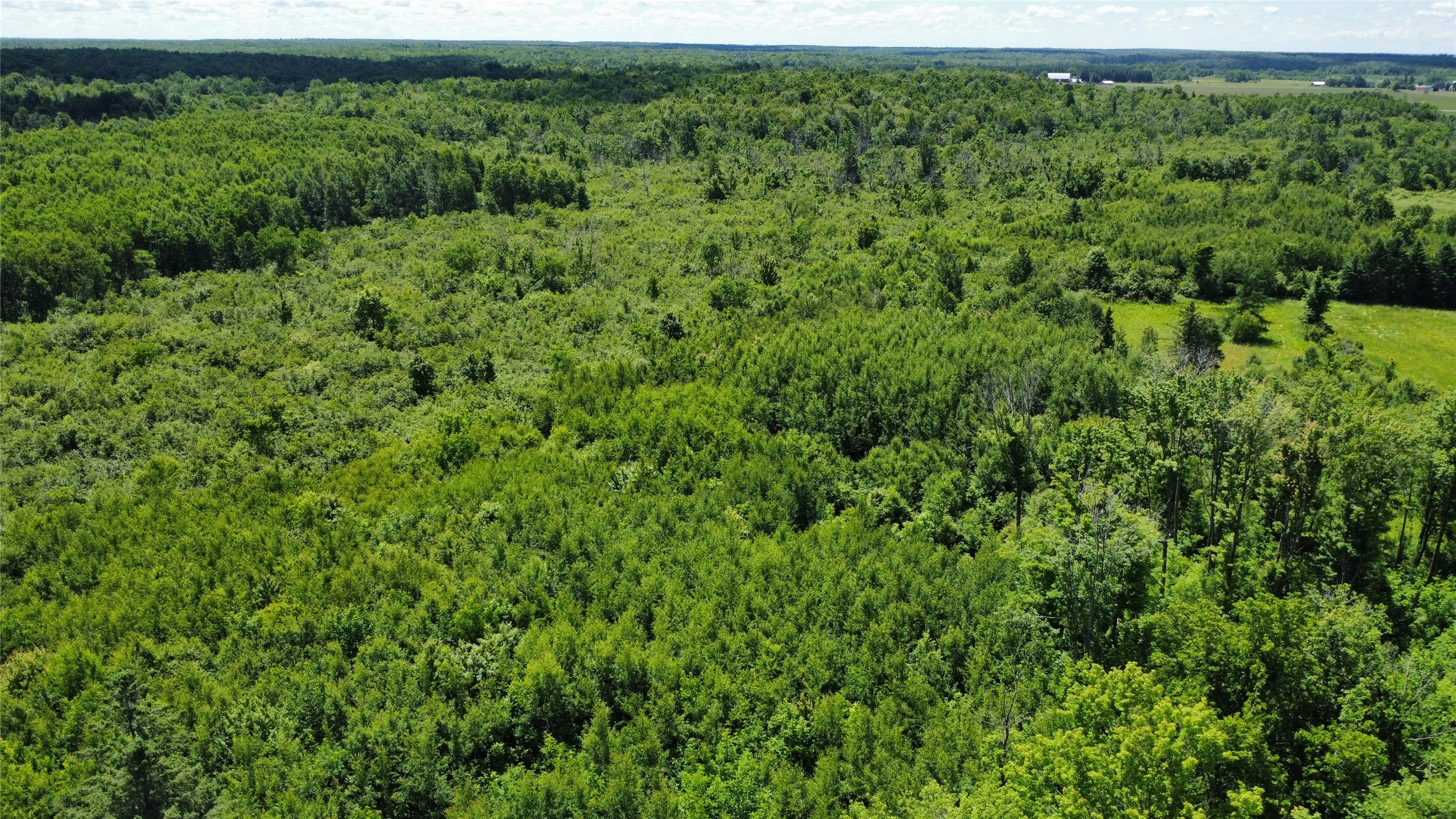 Ooo Snowshoe Road Property Photo 4