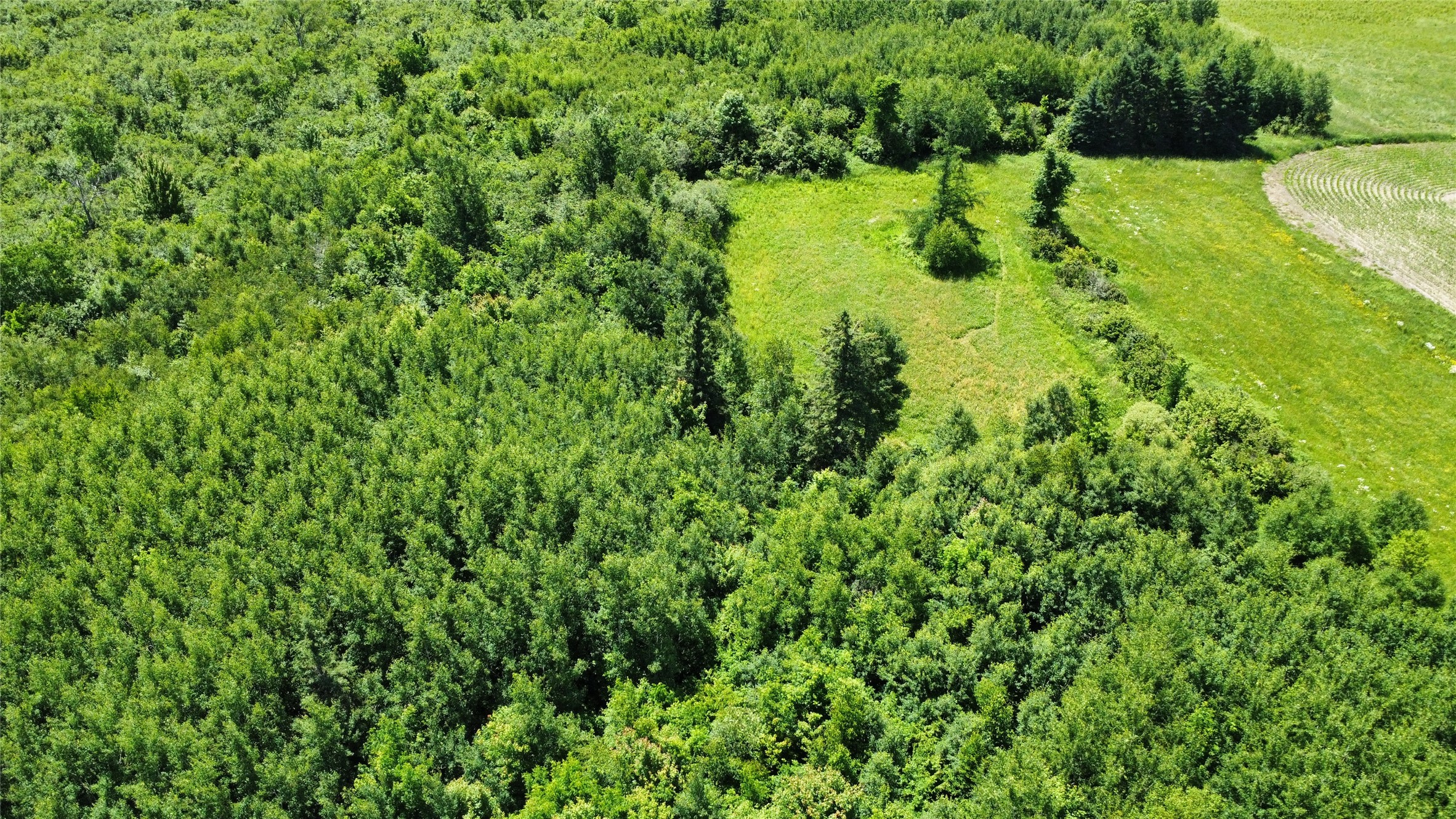 Ooo Snowshoe Road Property Photo 5