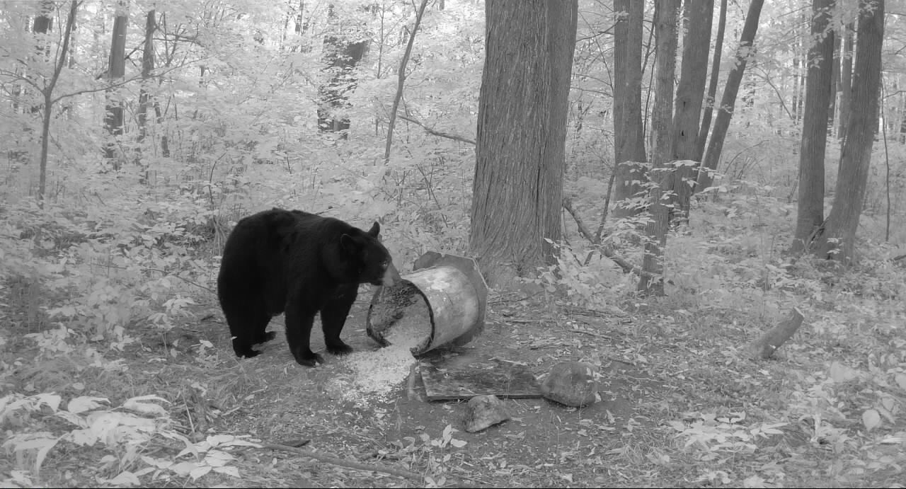 Ooo Snowshoe Road Property Photo 14