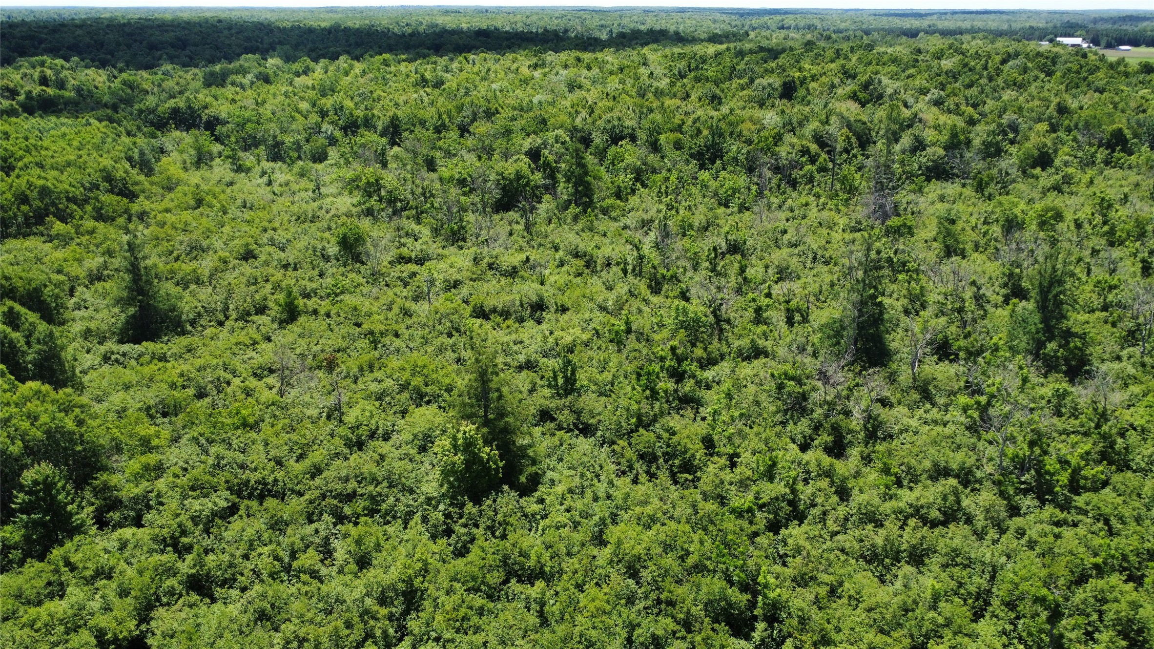 Ooo Snowshoe Road Property Photo 17